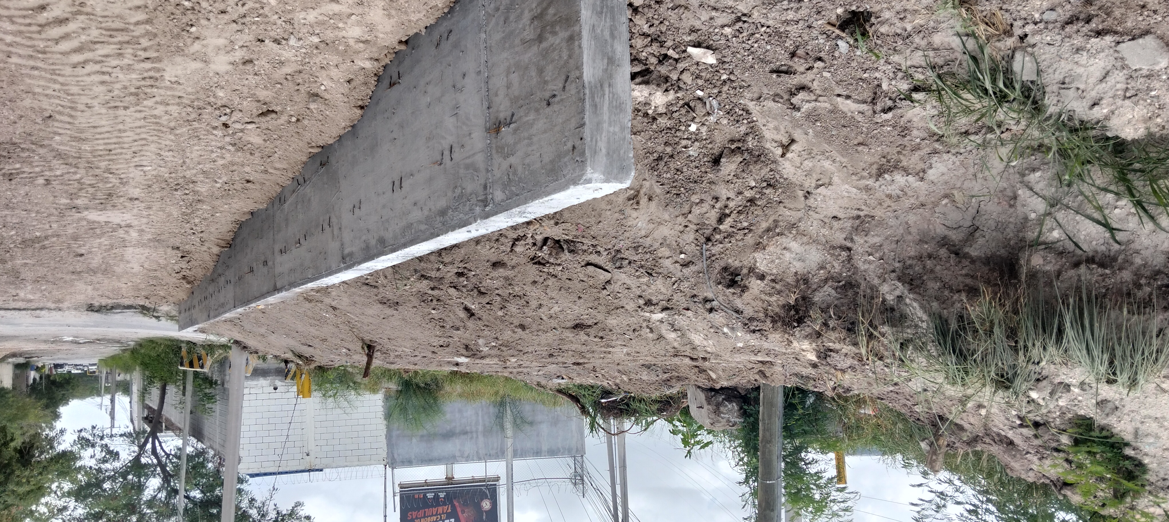 Imagen de la obra