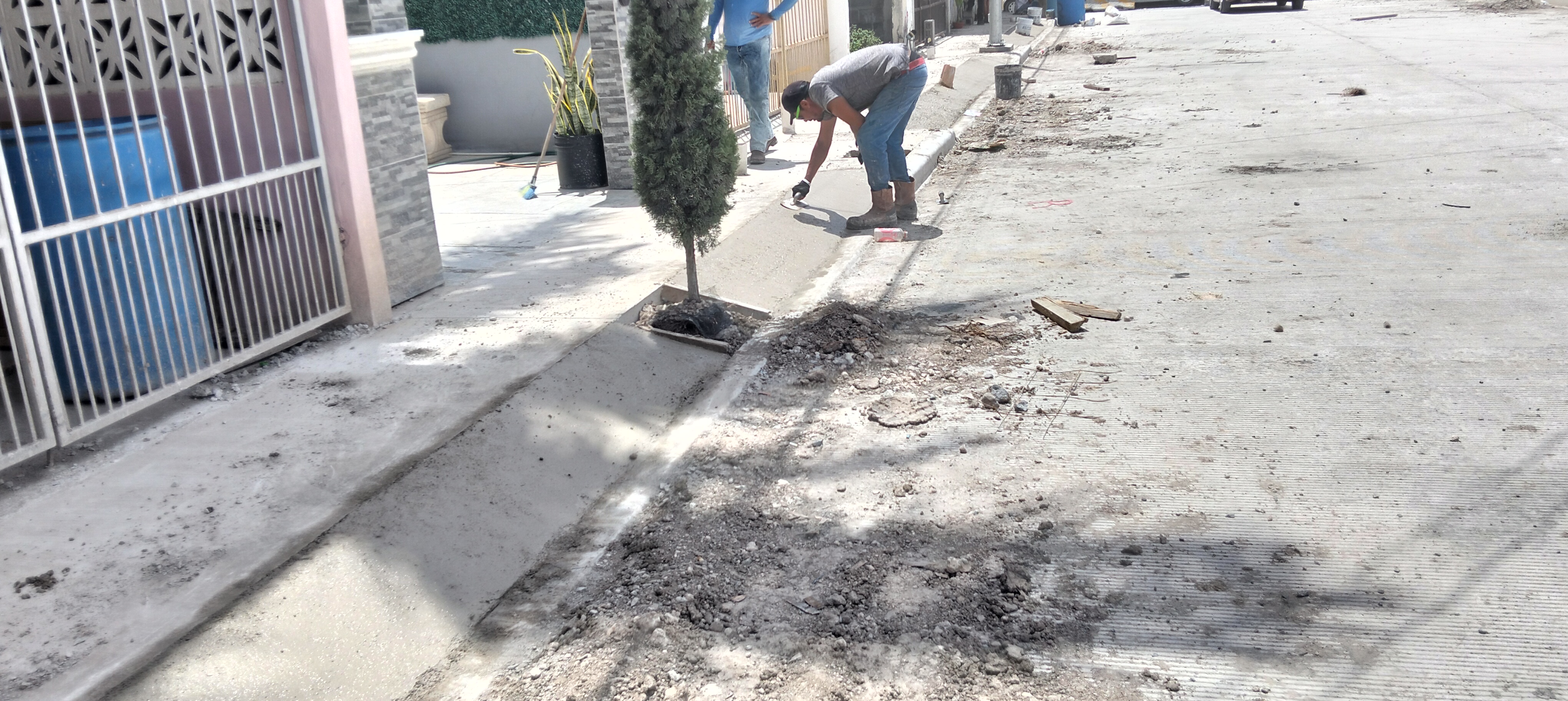 Imagen de la obra