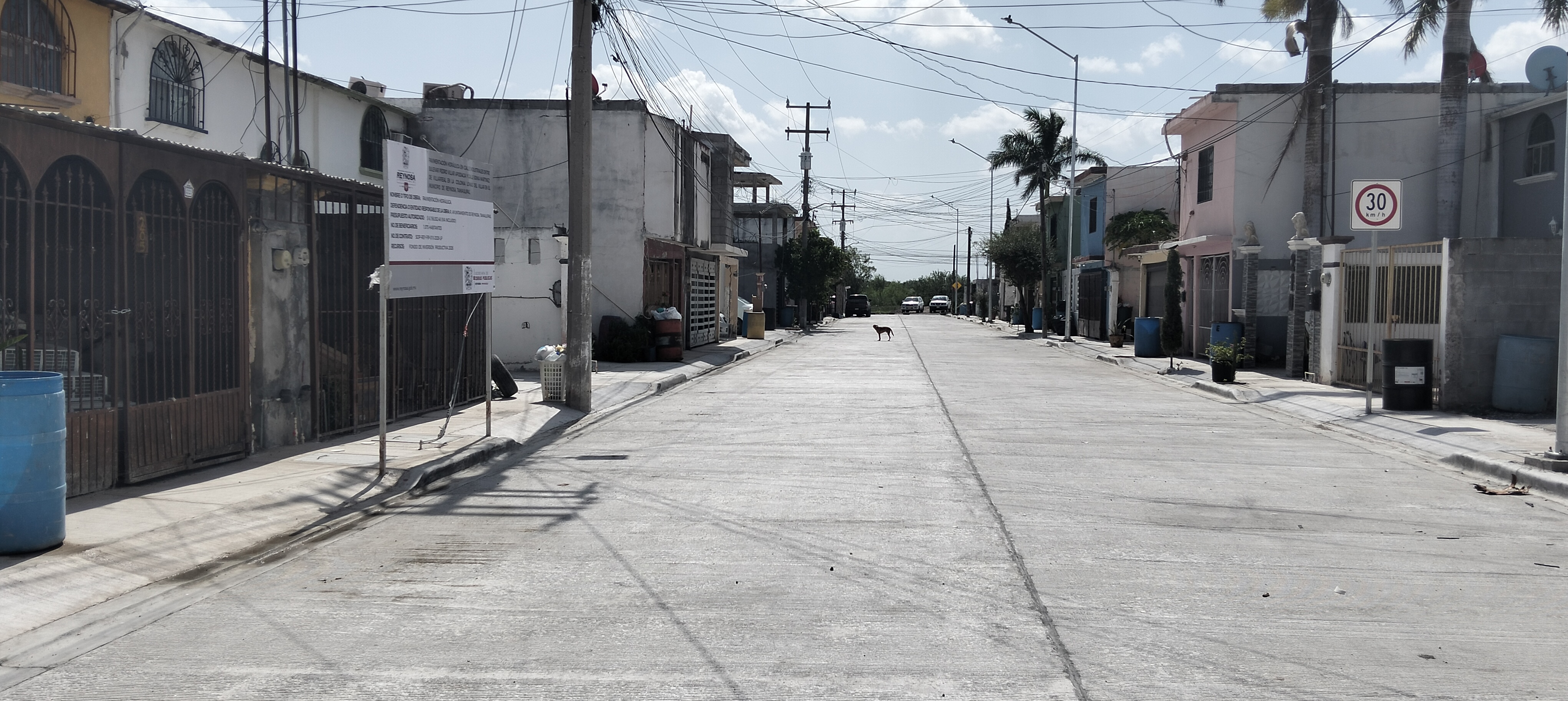 Imagen de la obra