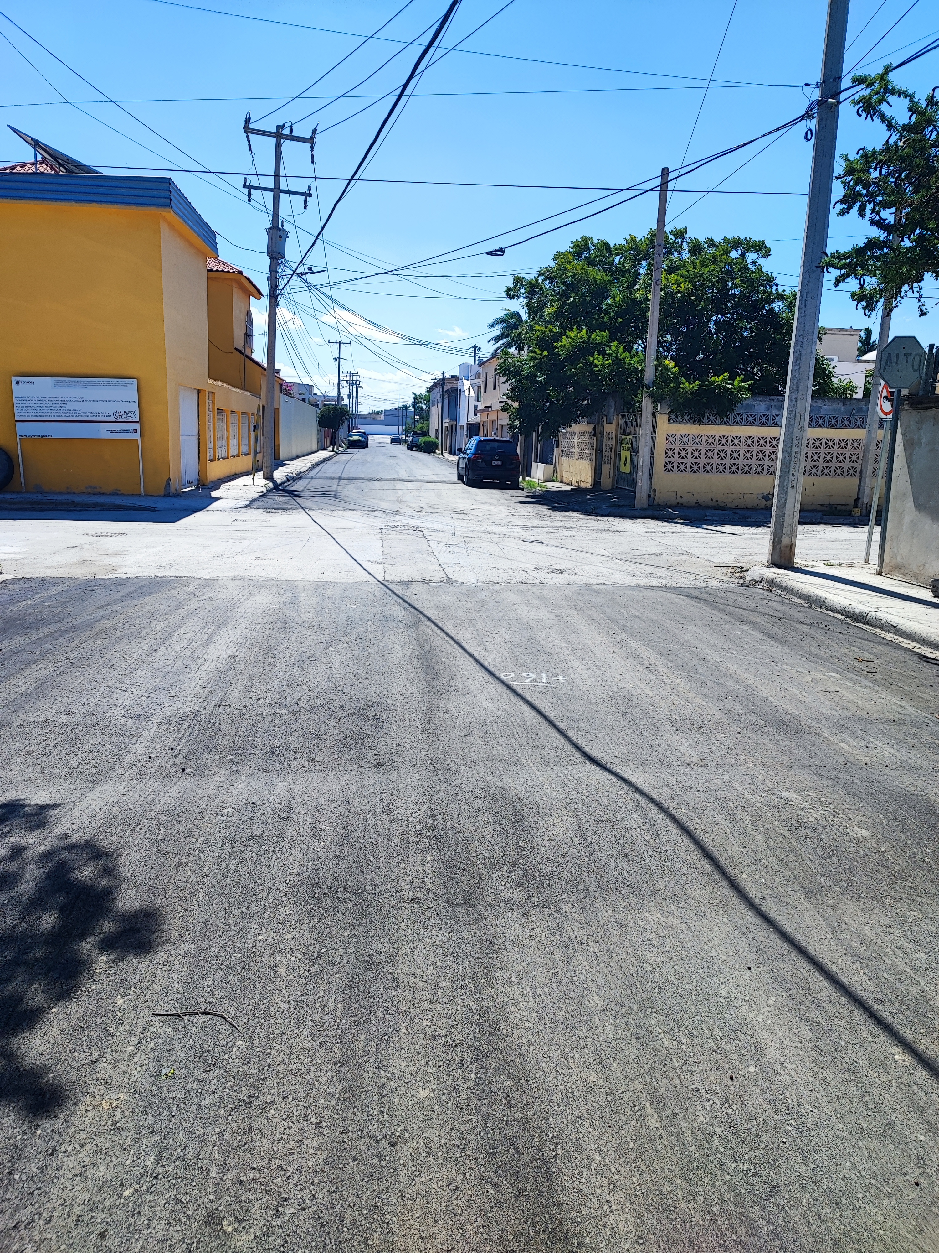 Imagen de la obra