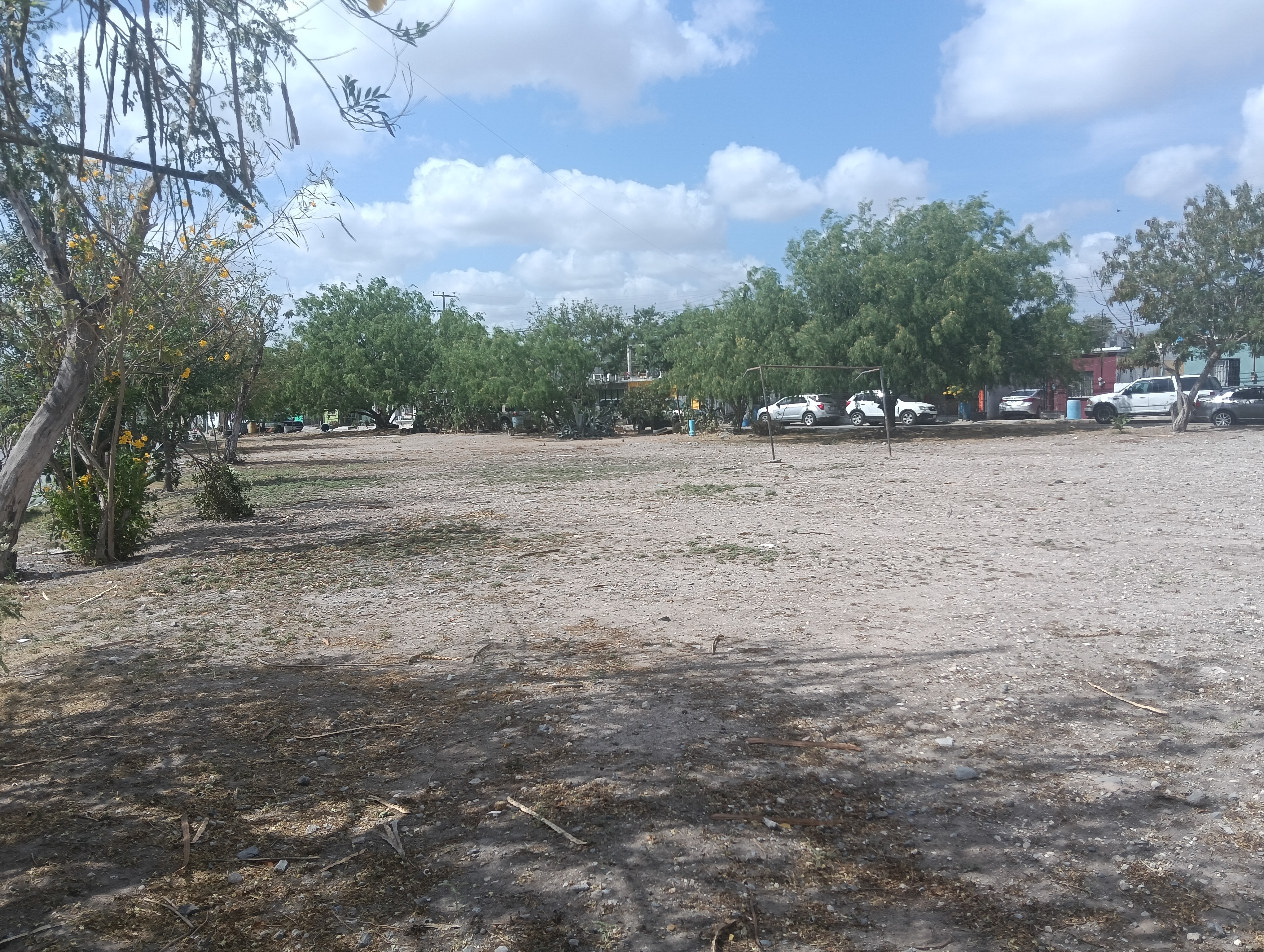 Imagen de la obra