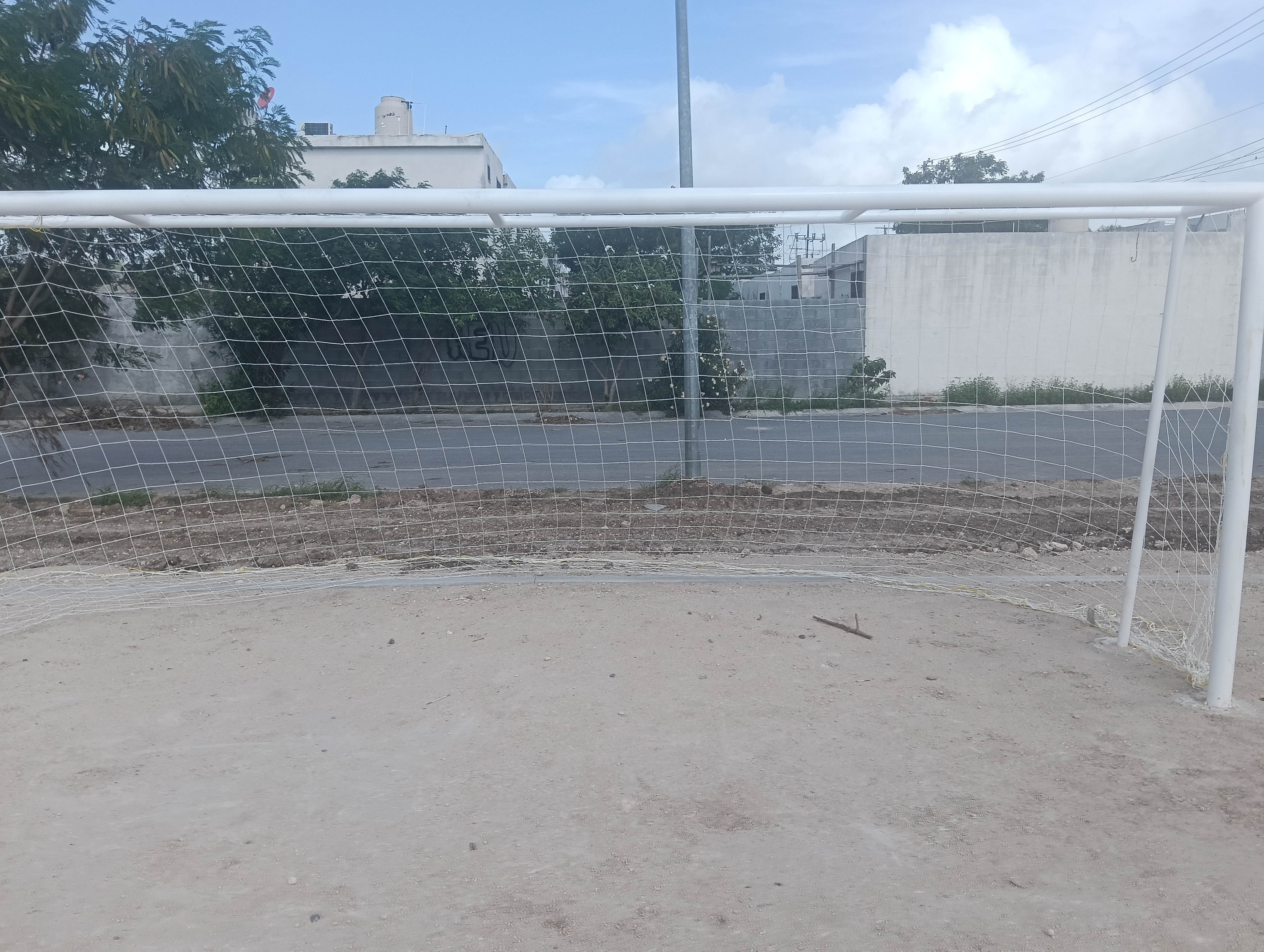 Imagen de la obra