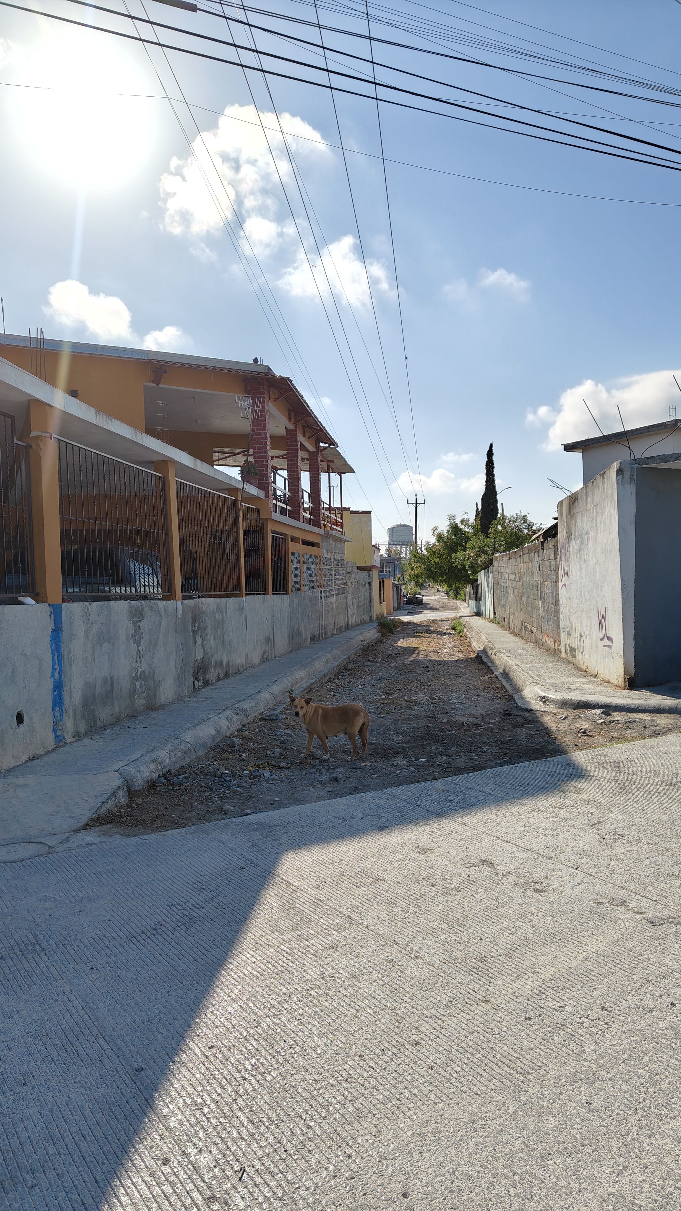 Imagen de la obra