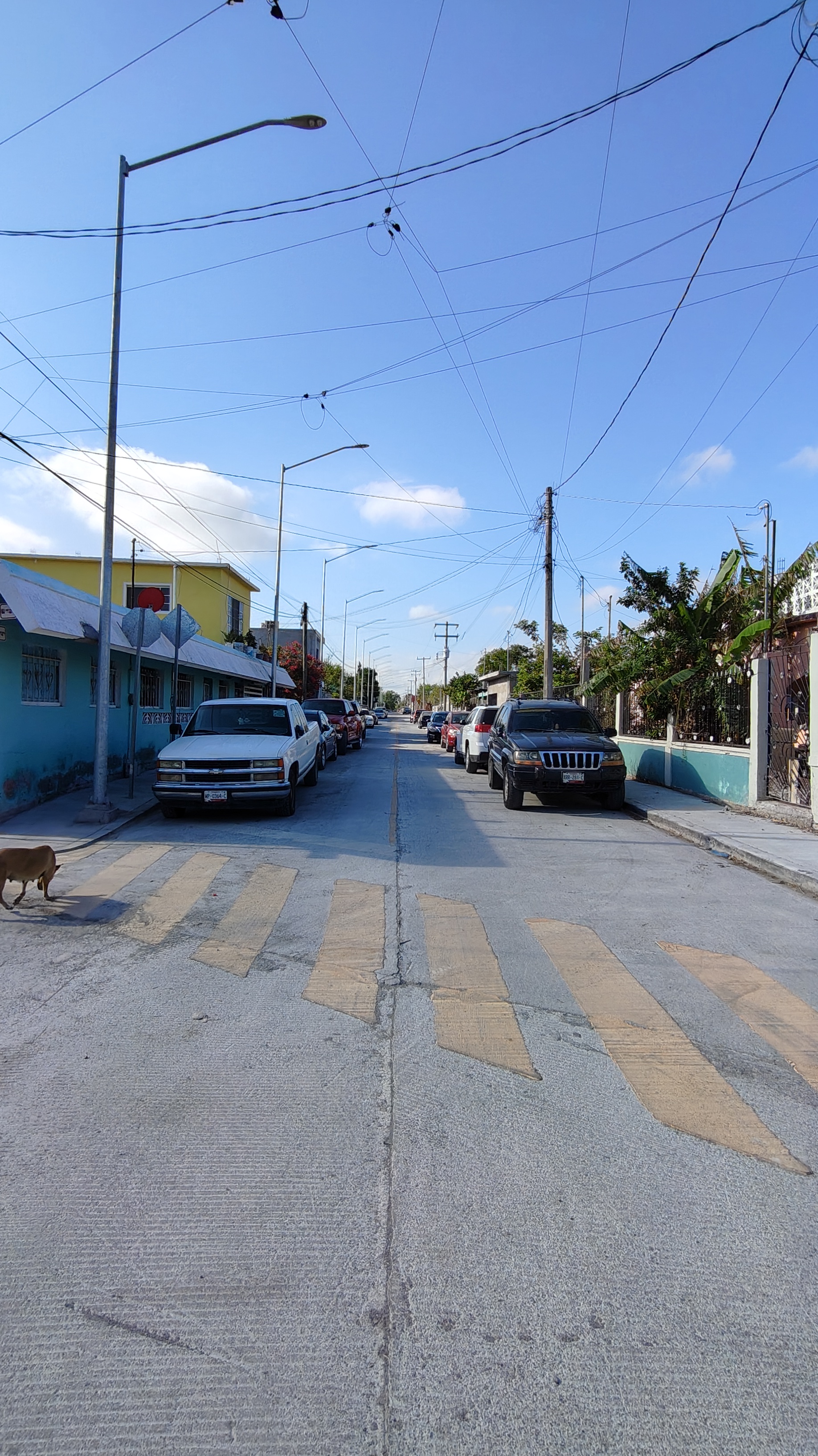 Imagen de la obra