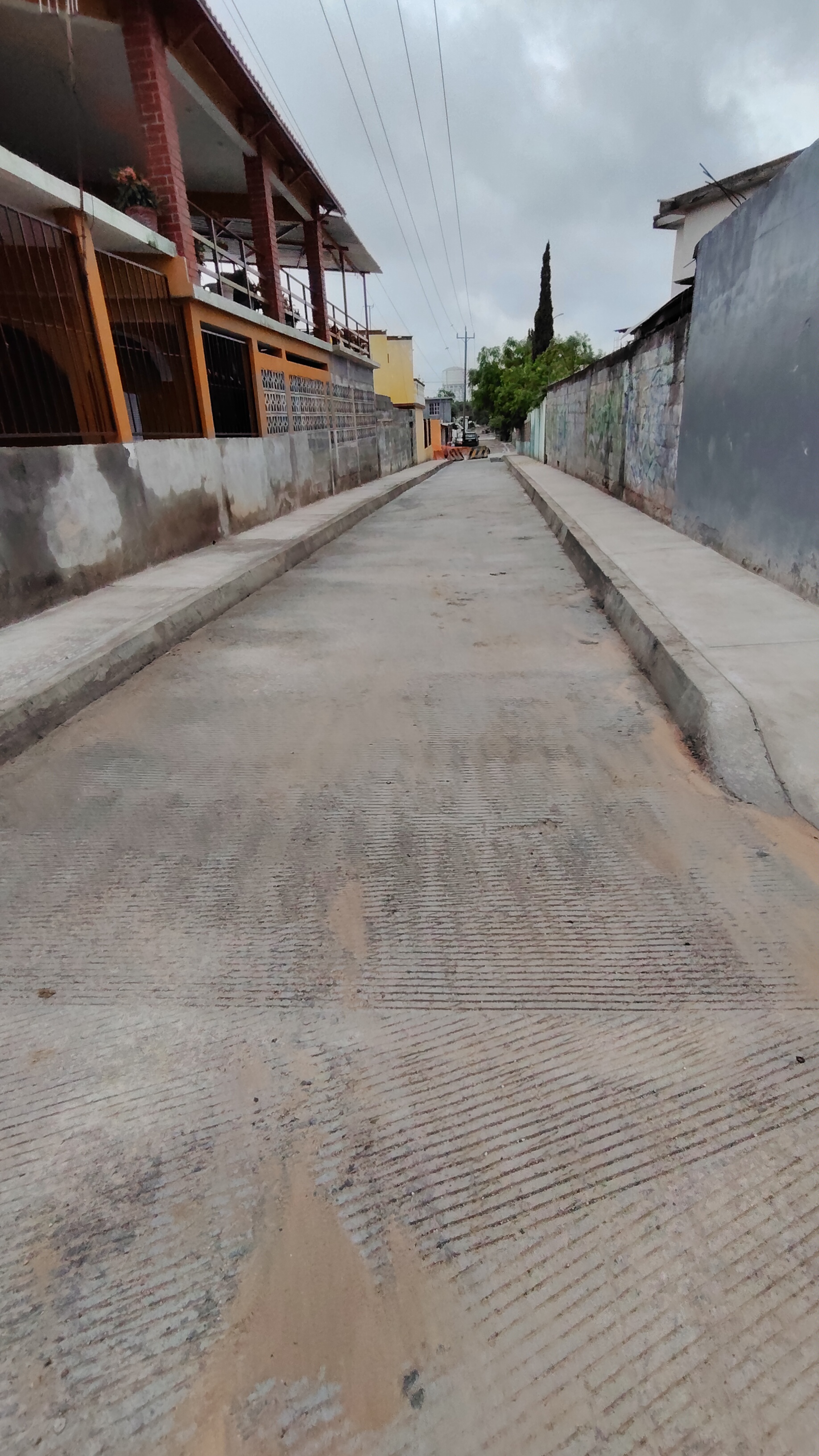 Imagen de la obra