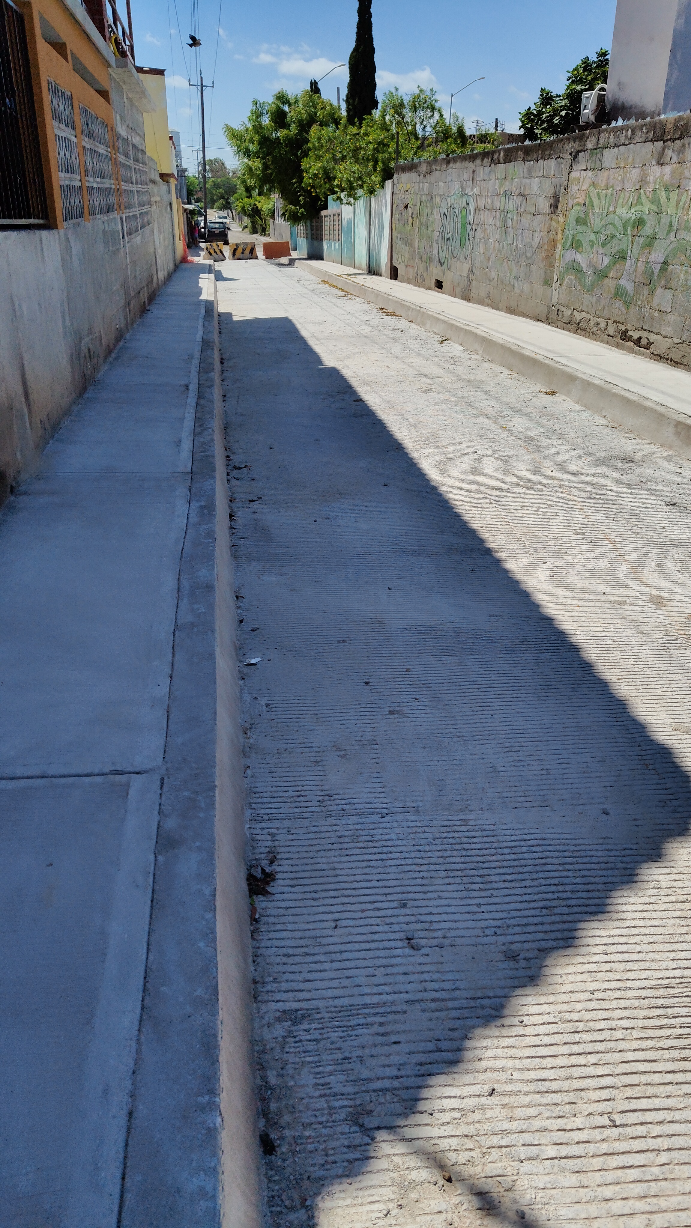 Imagen de la obra