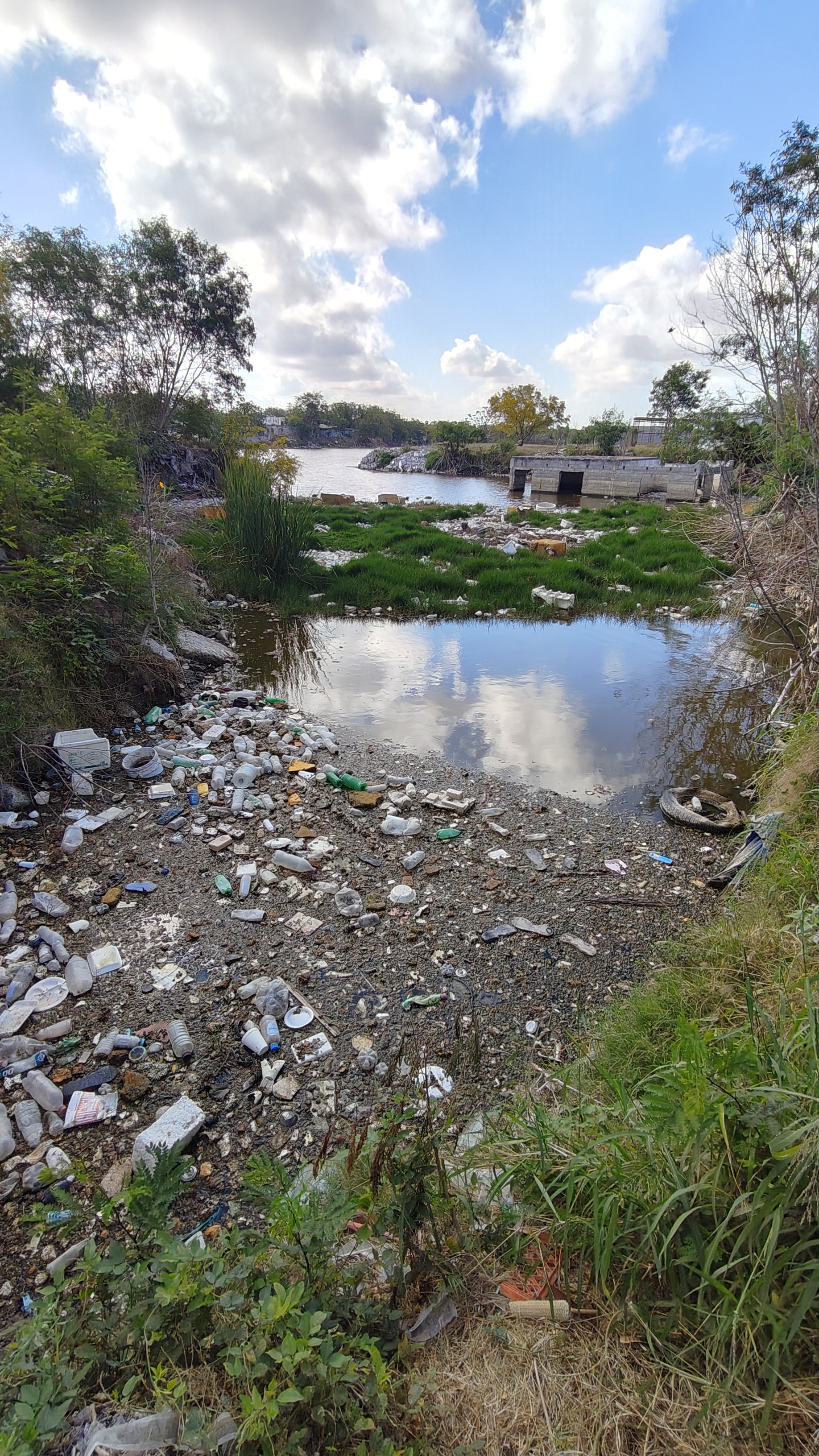 Imagen de la obra