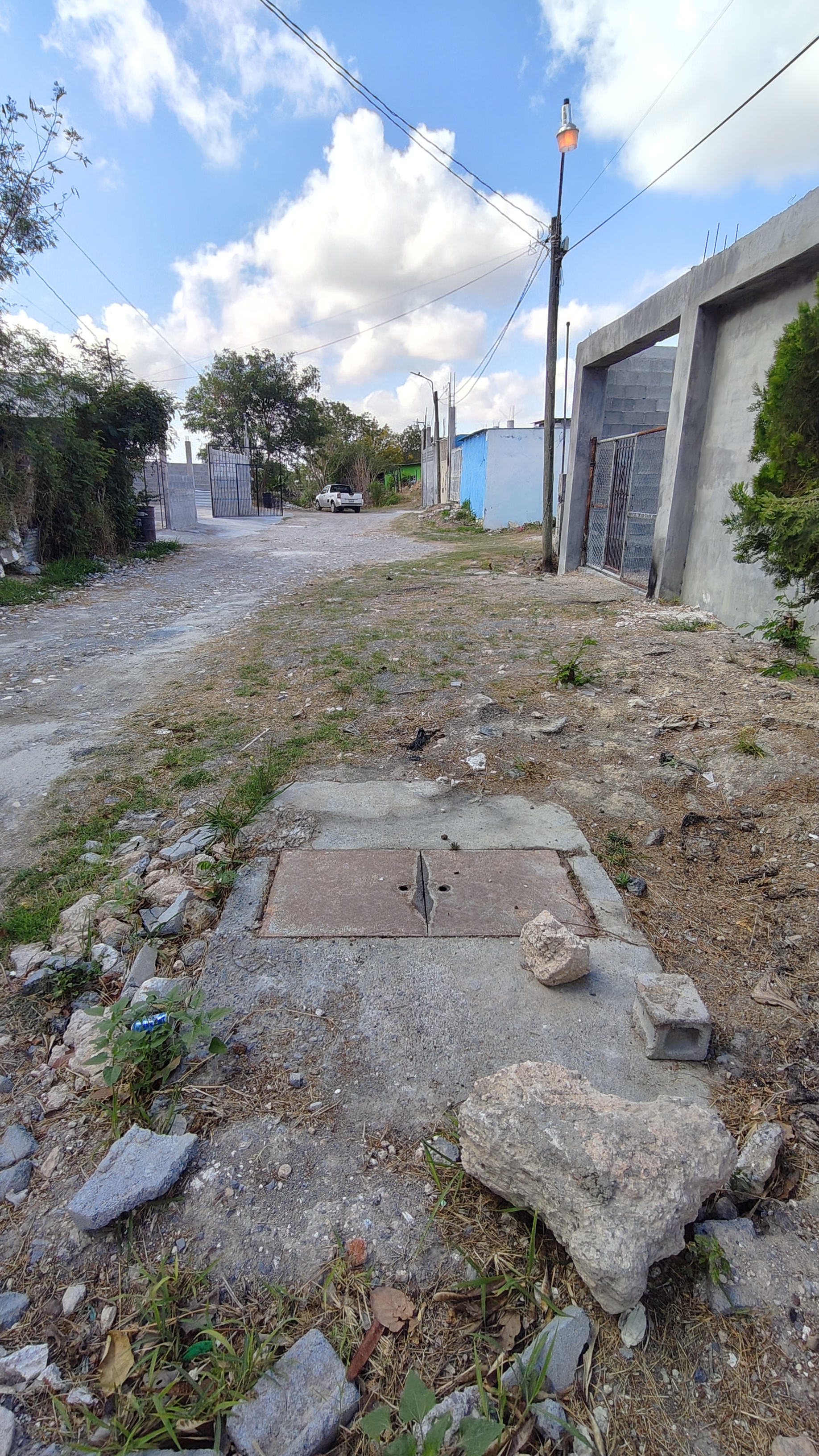 Imagen de la obra