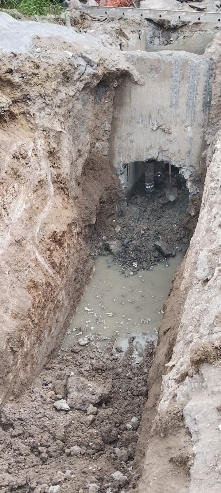 Imagen de la obra