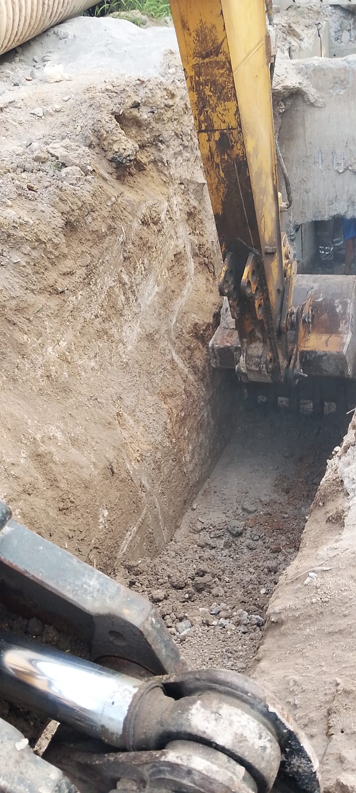 Imagen de la obra