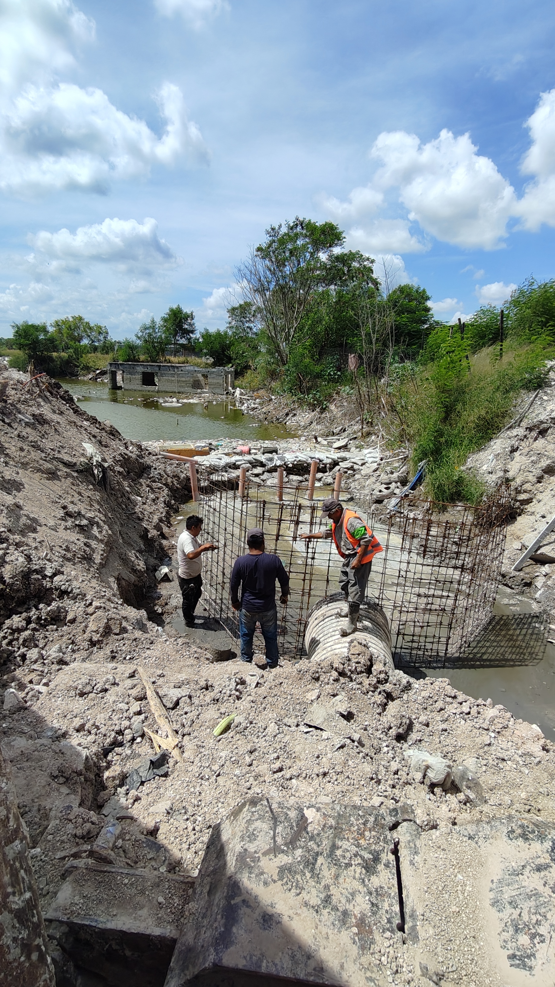 Imagen de la obra