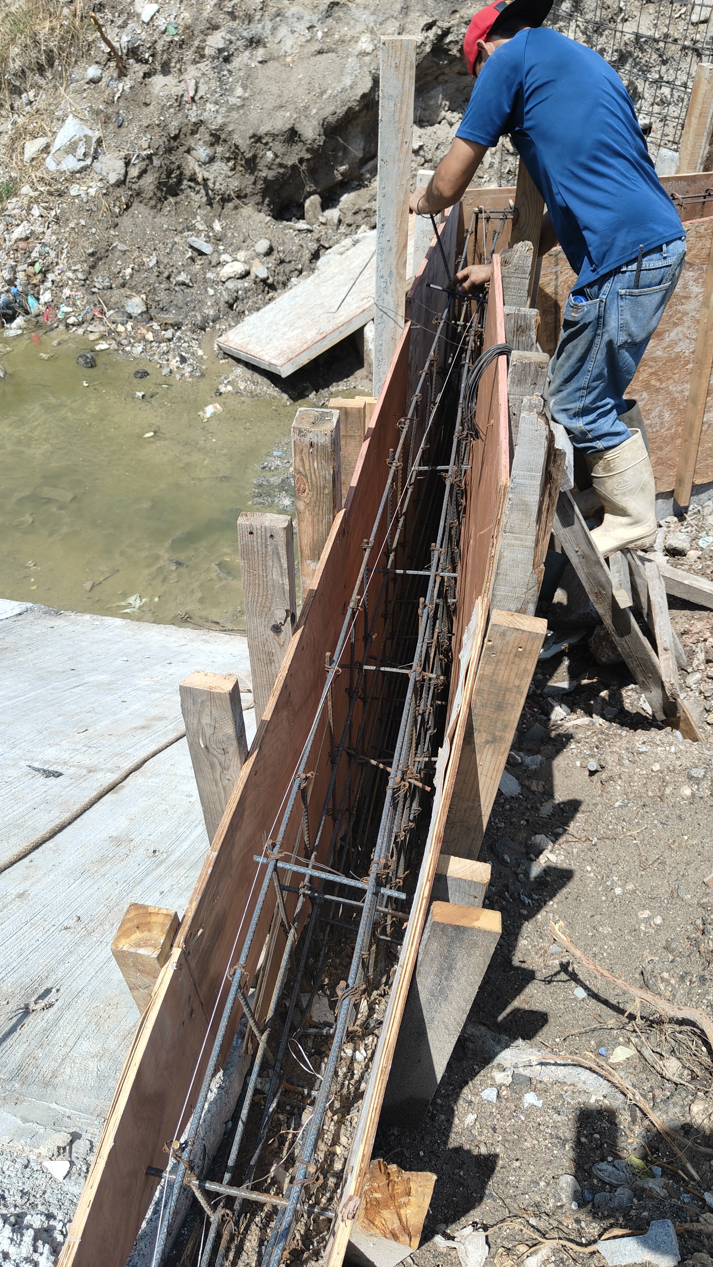 Imagen de la obra