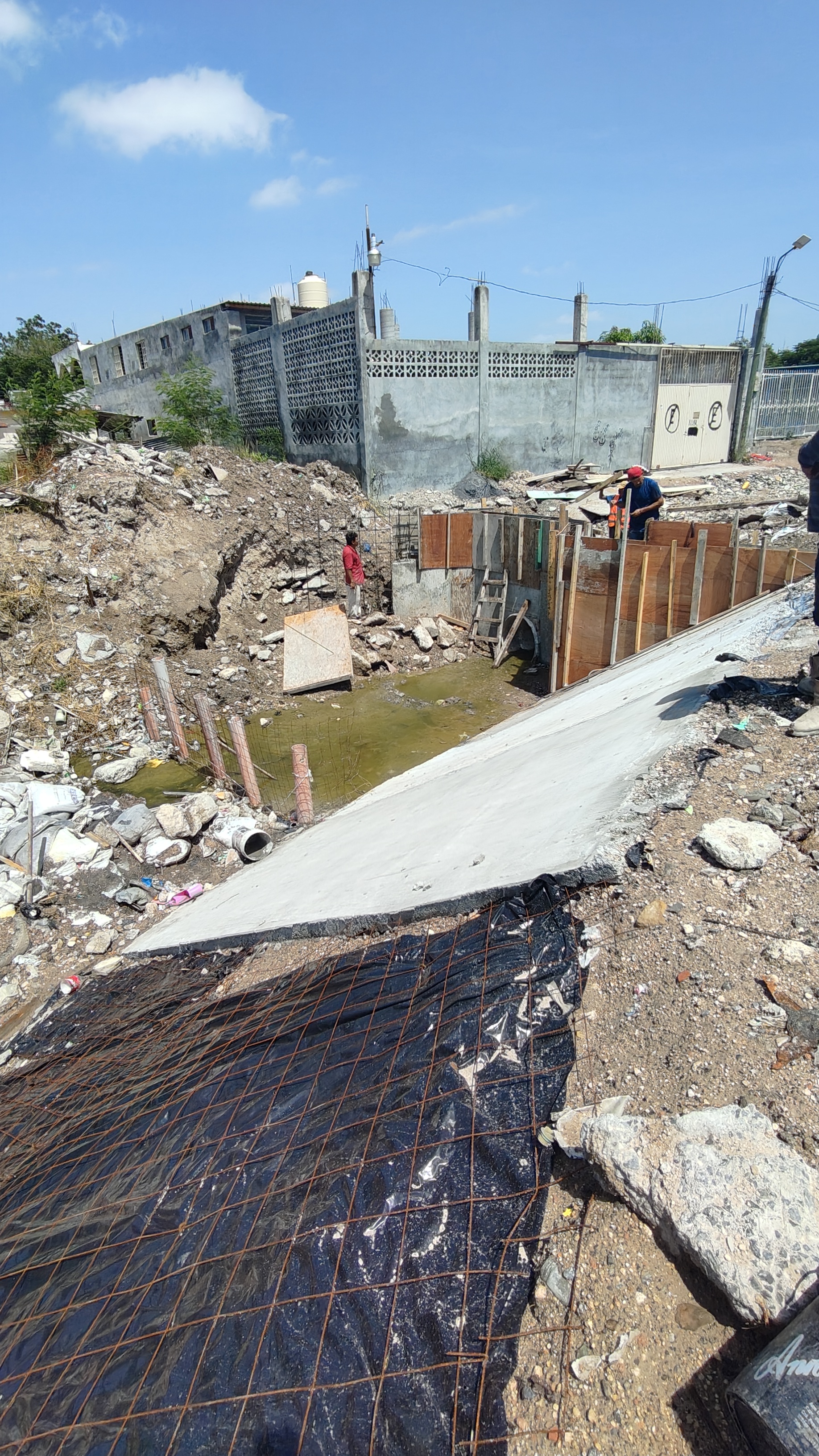 Imagen de la obra