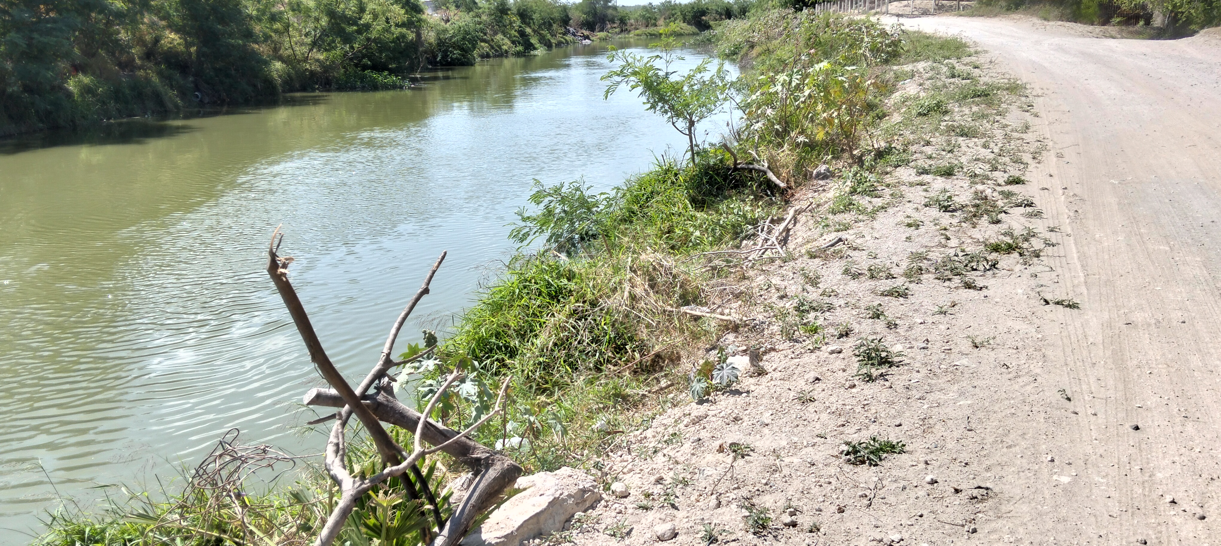 Imagen de la obra