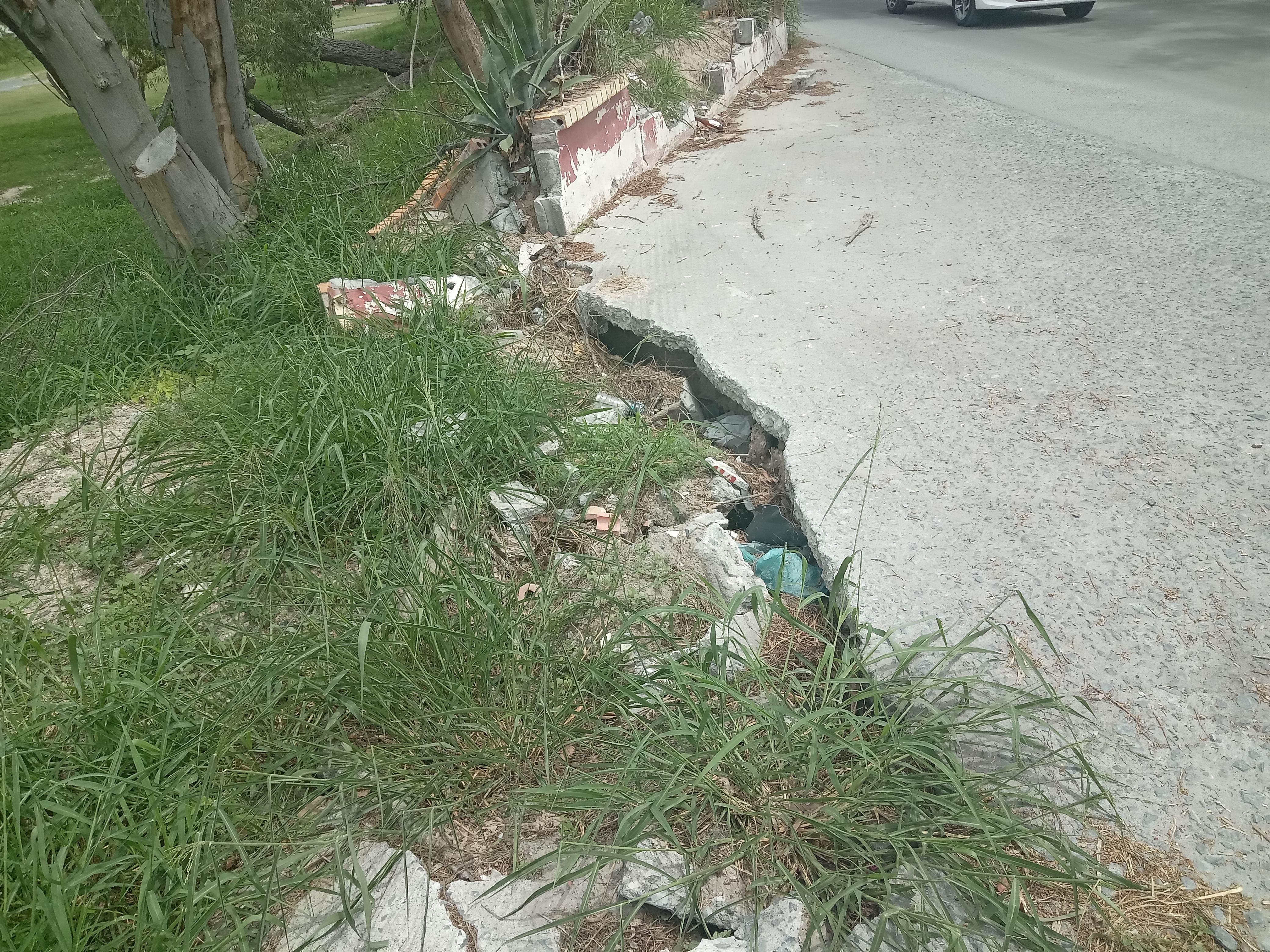 Imagen de la obra