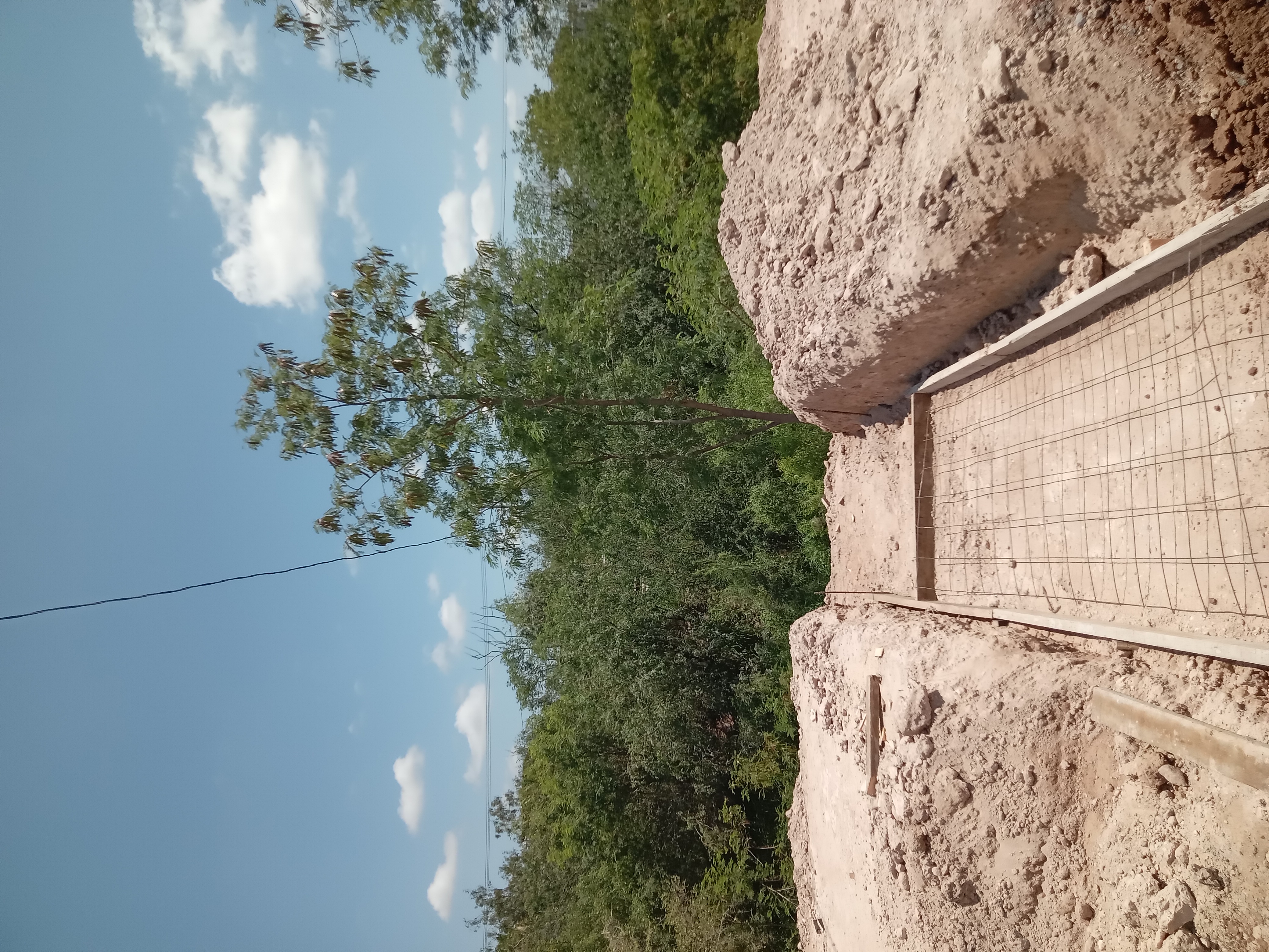 Imagen de la obra