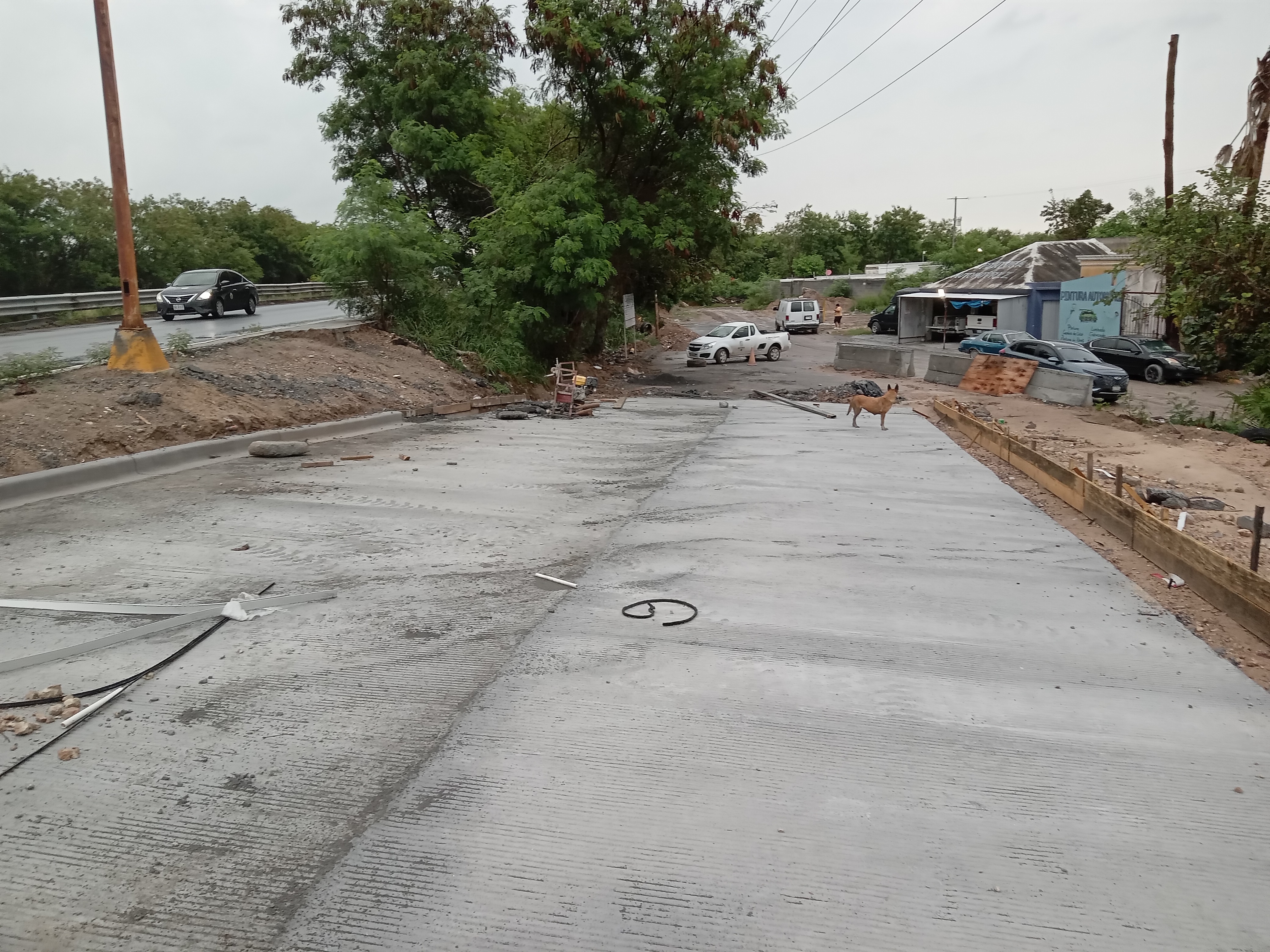 Imagen de la obra