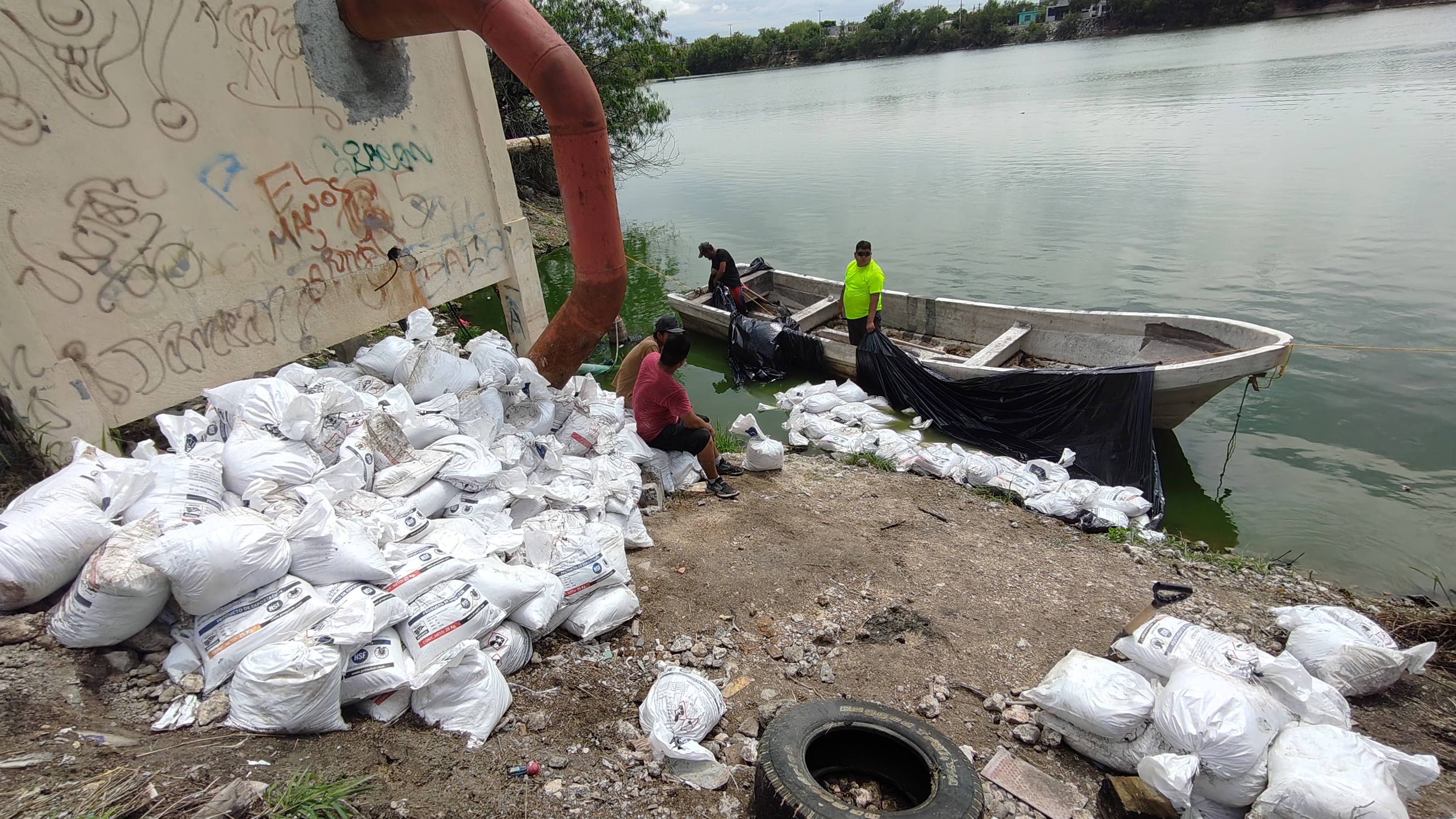 Imagen de la obra
