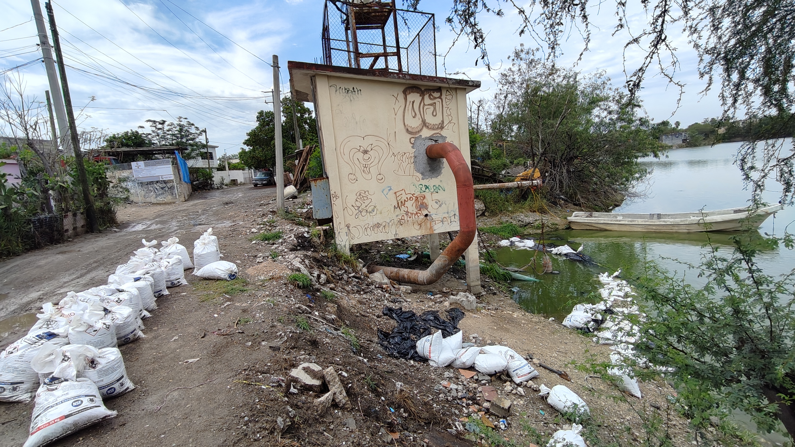 Imagen de la obra