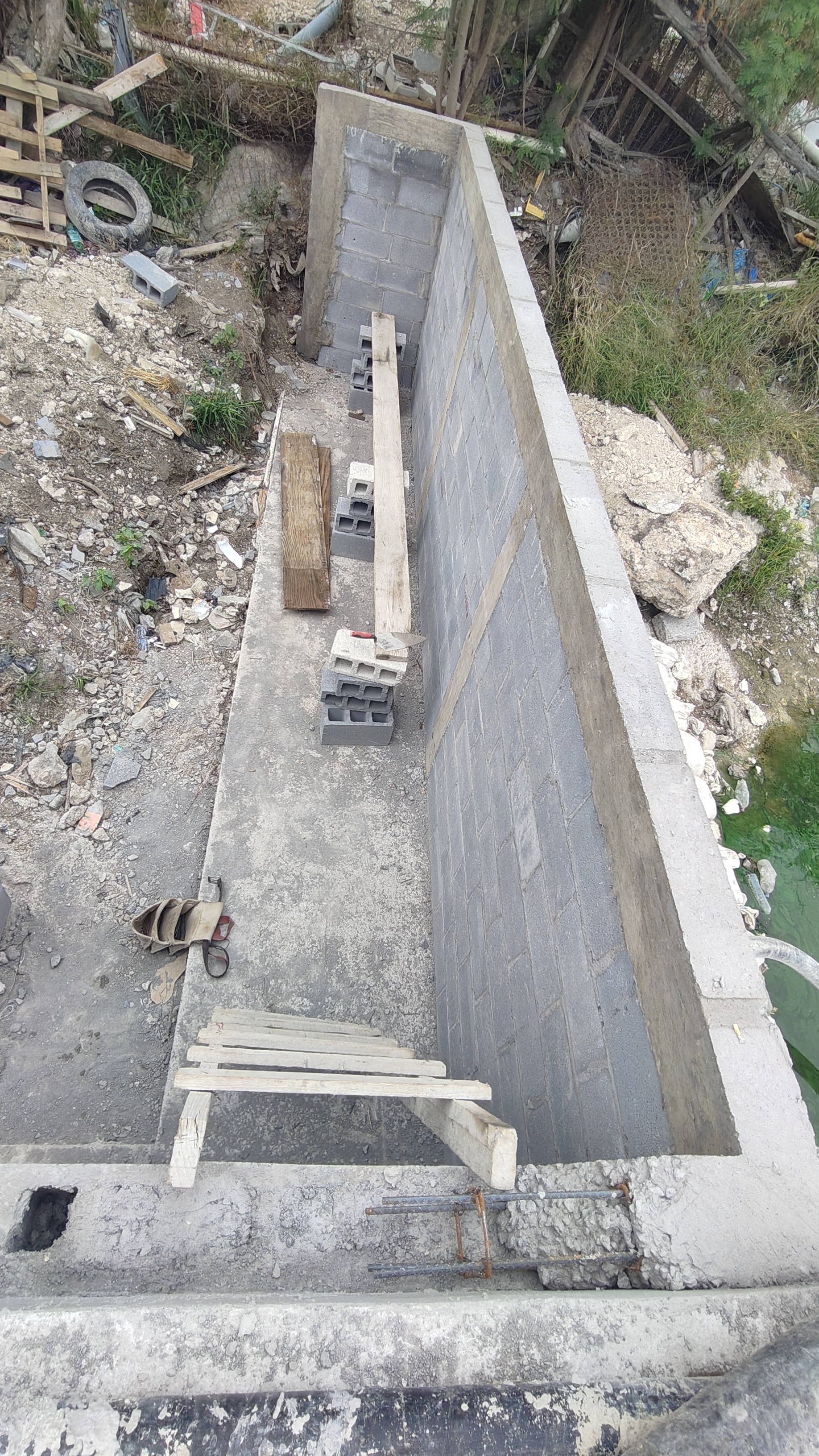 Imagen de la obra