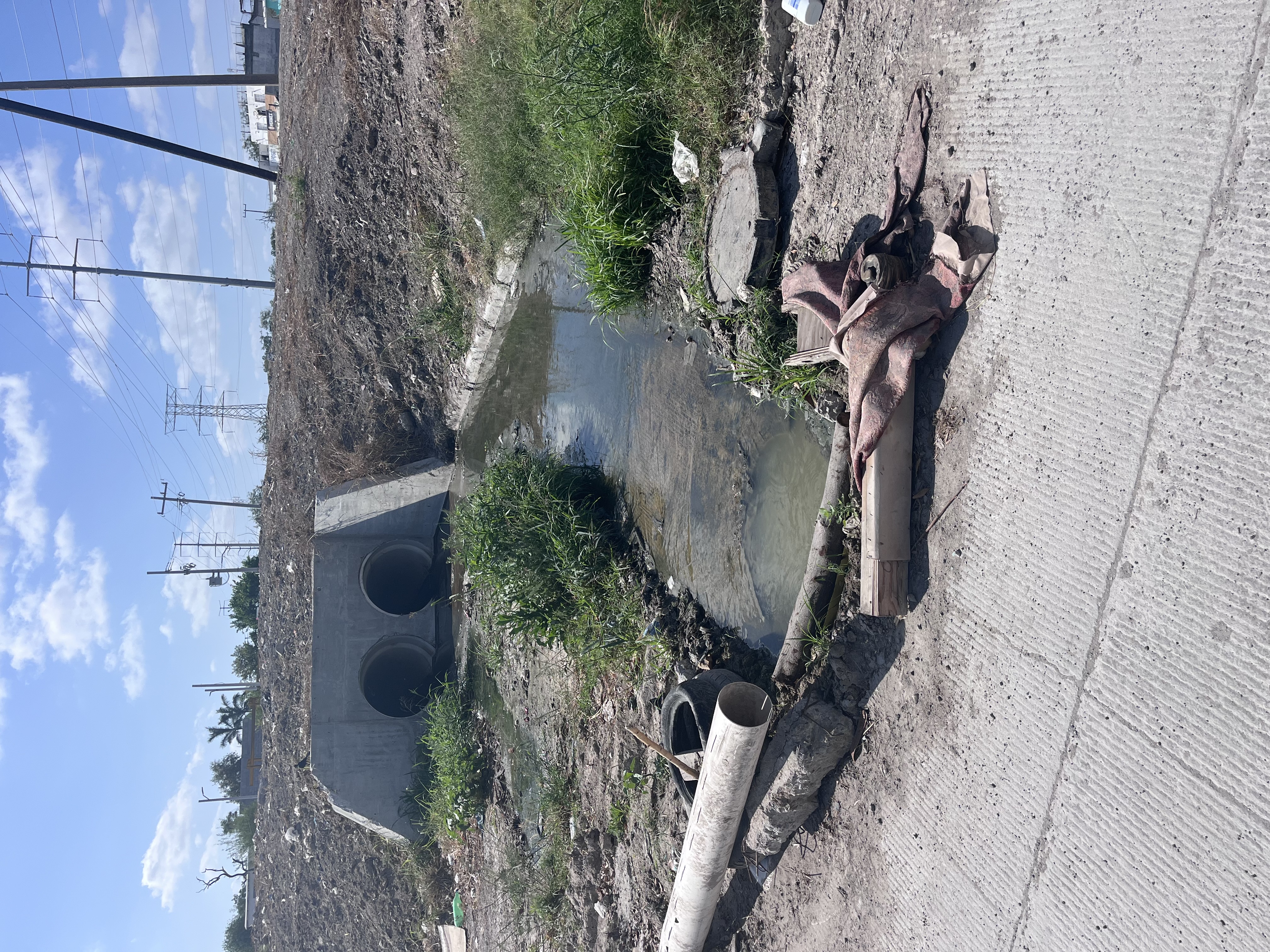 Imagen de la obra