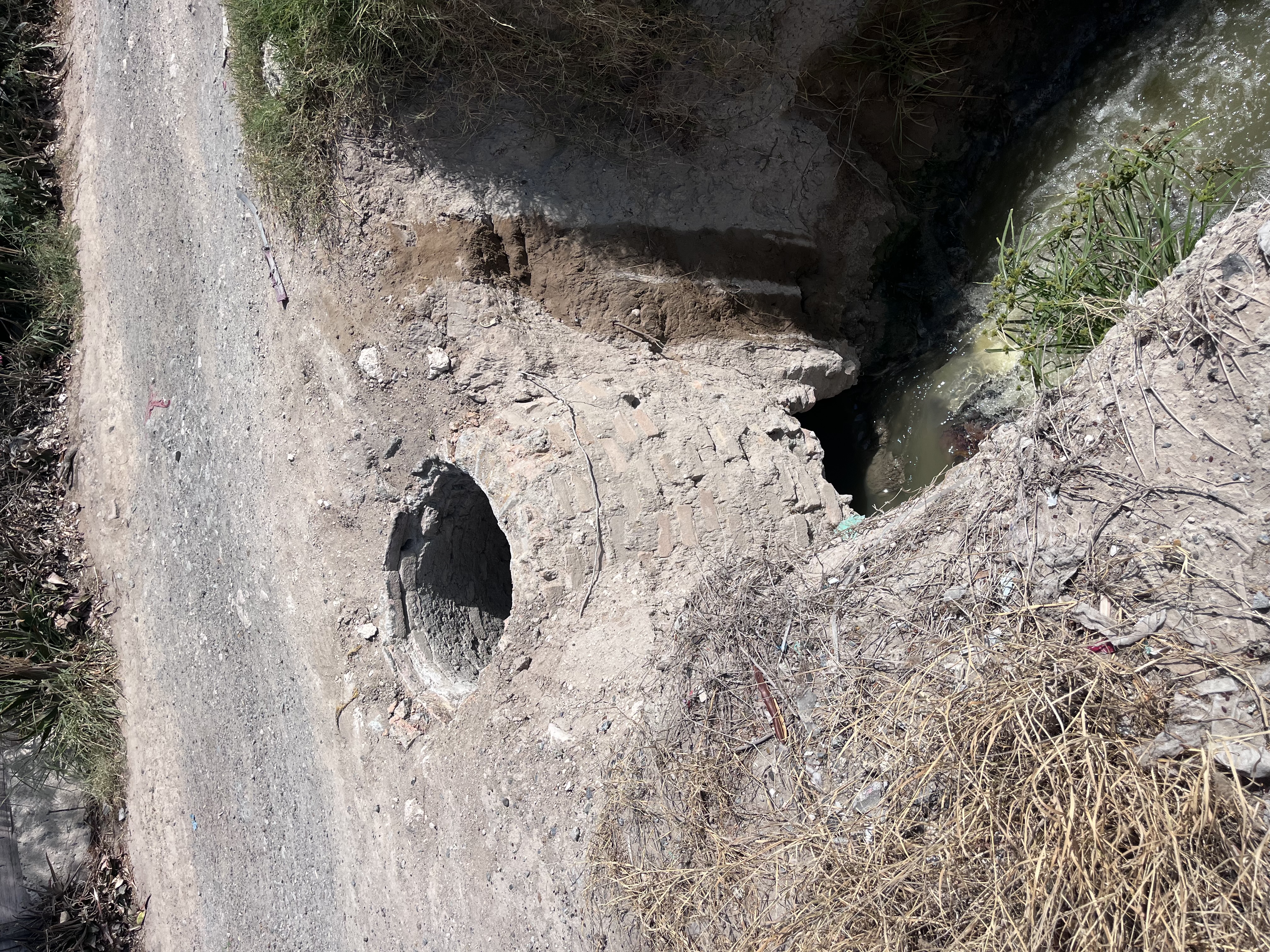 Imagen de la obra