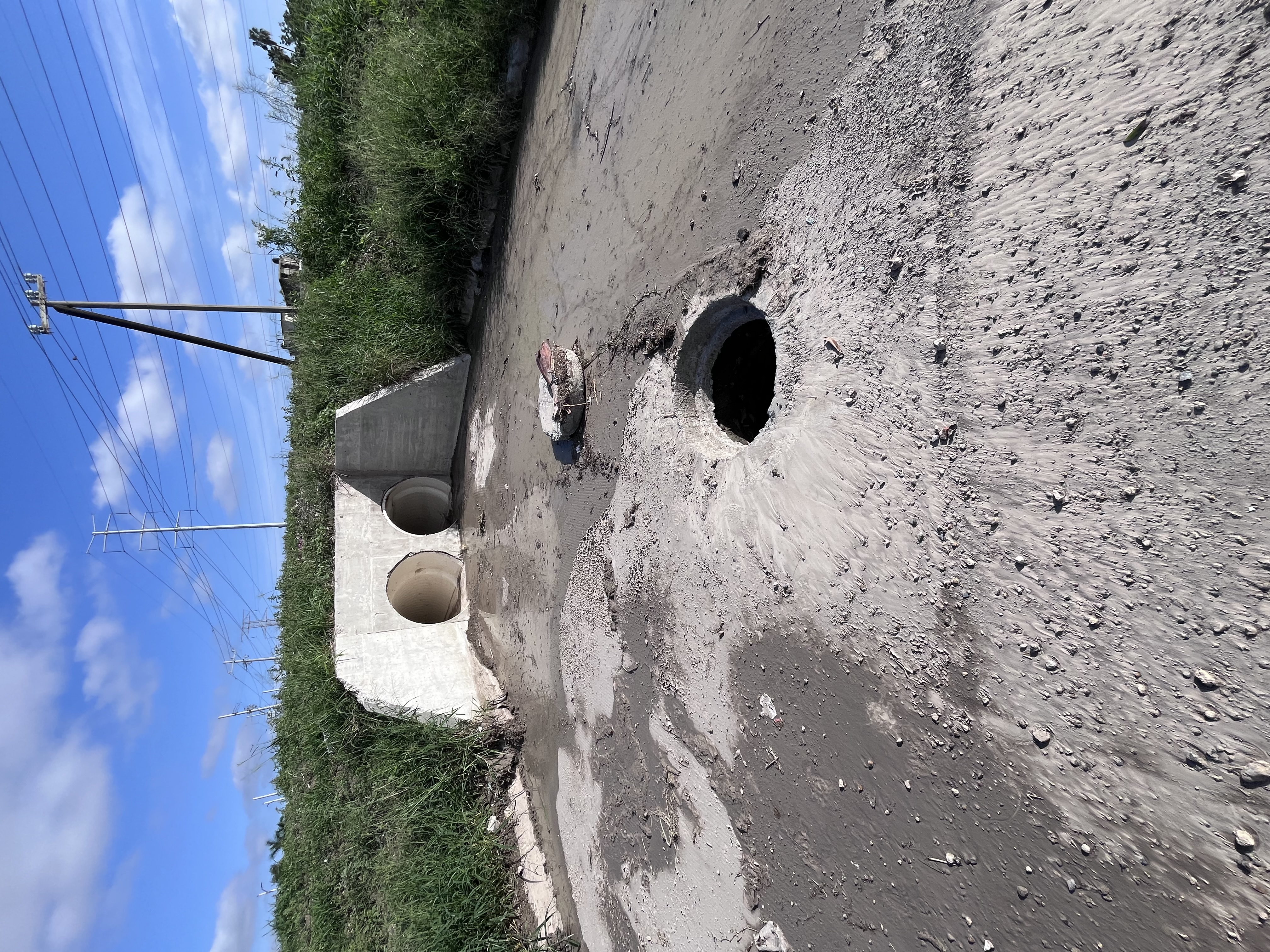 Imagen de la obra