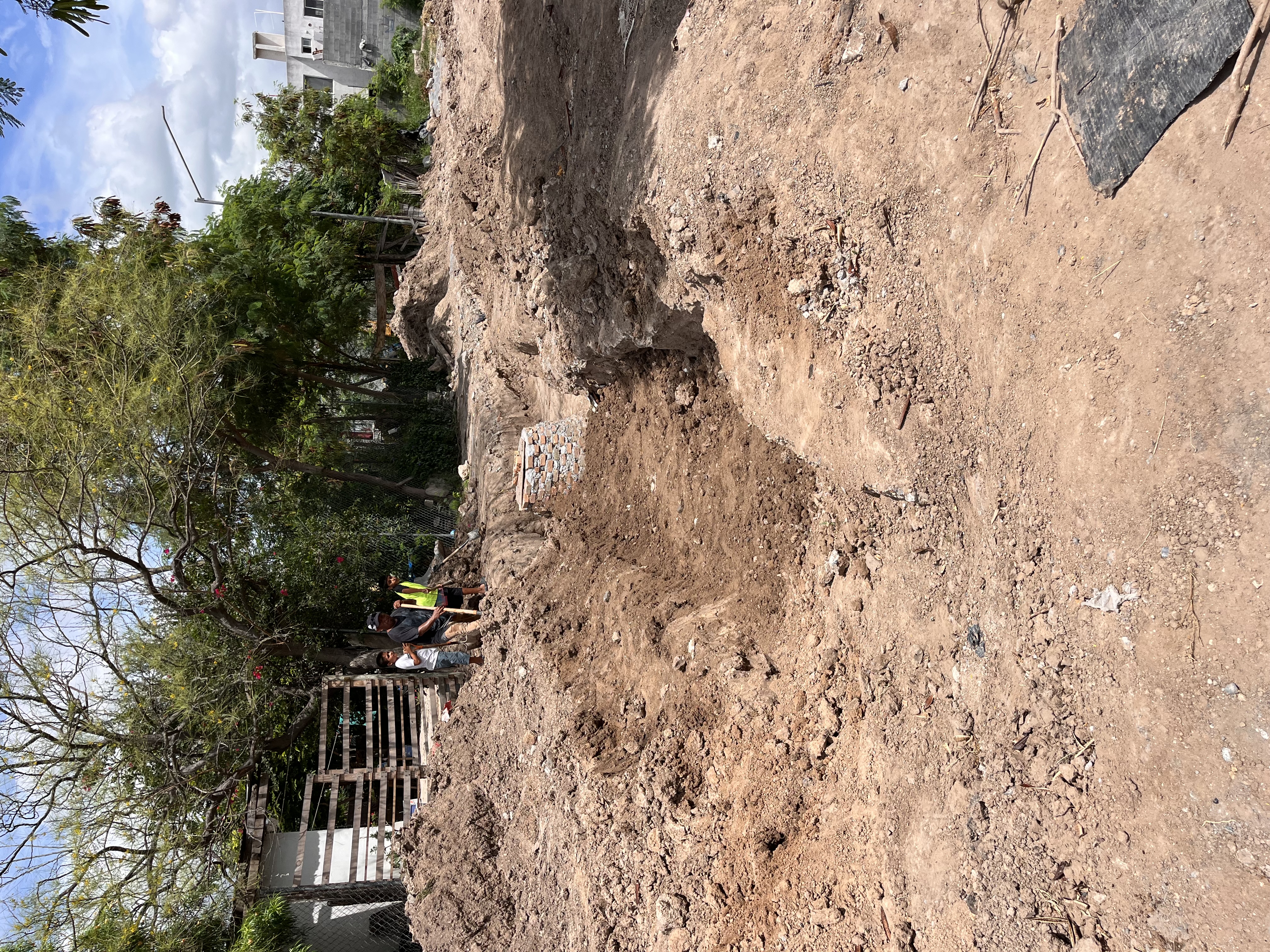Imagen de la obra