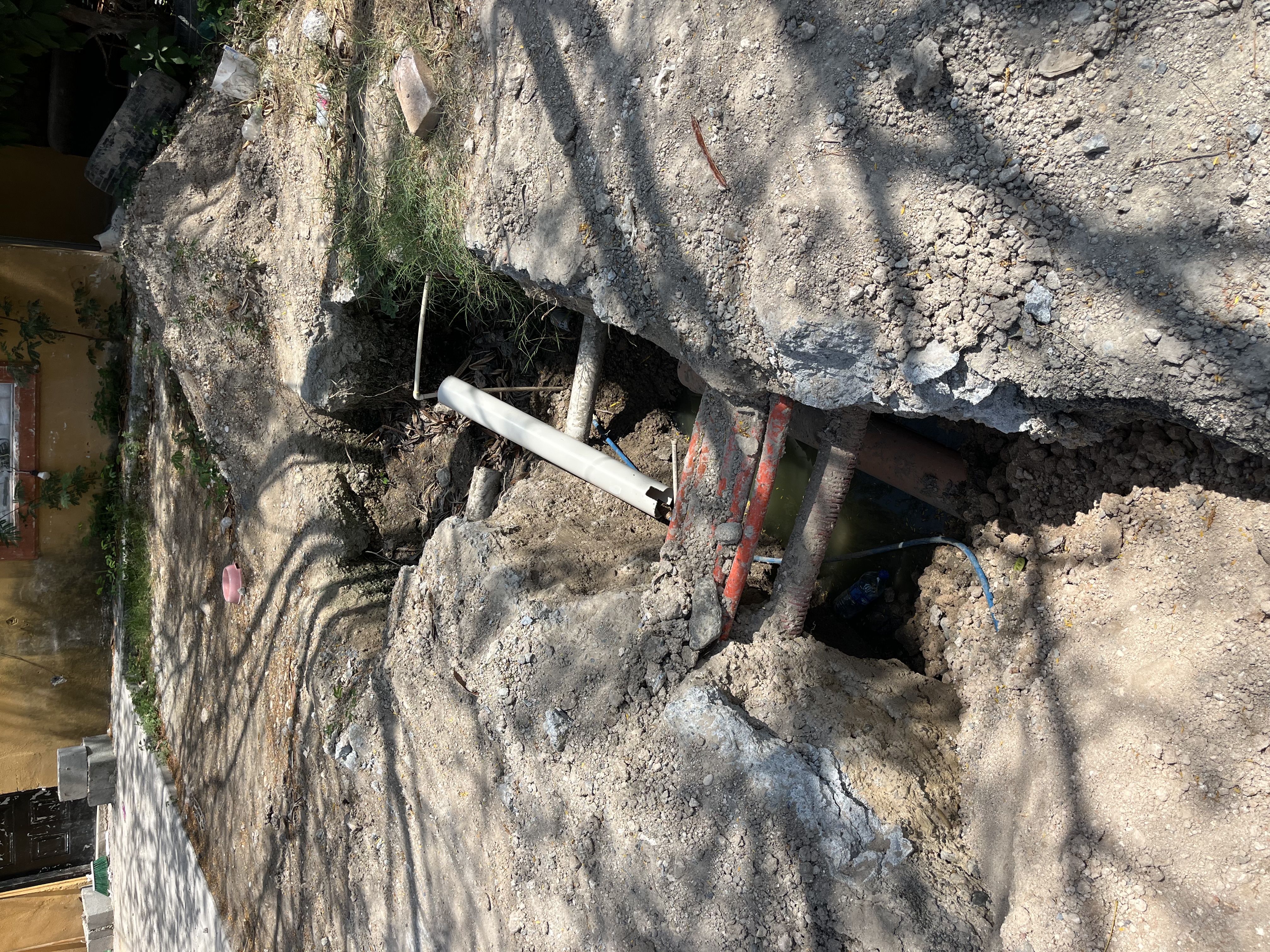 Imagen de la obra