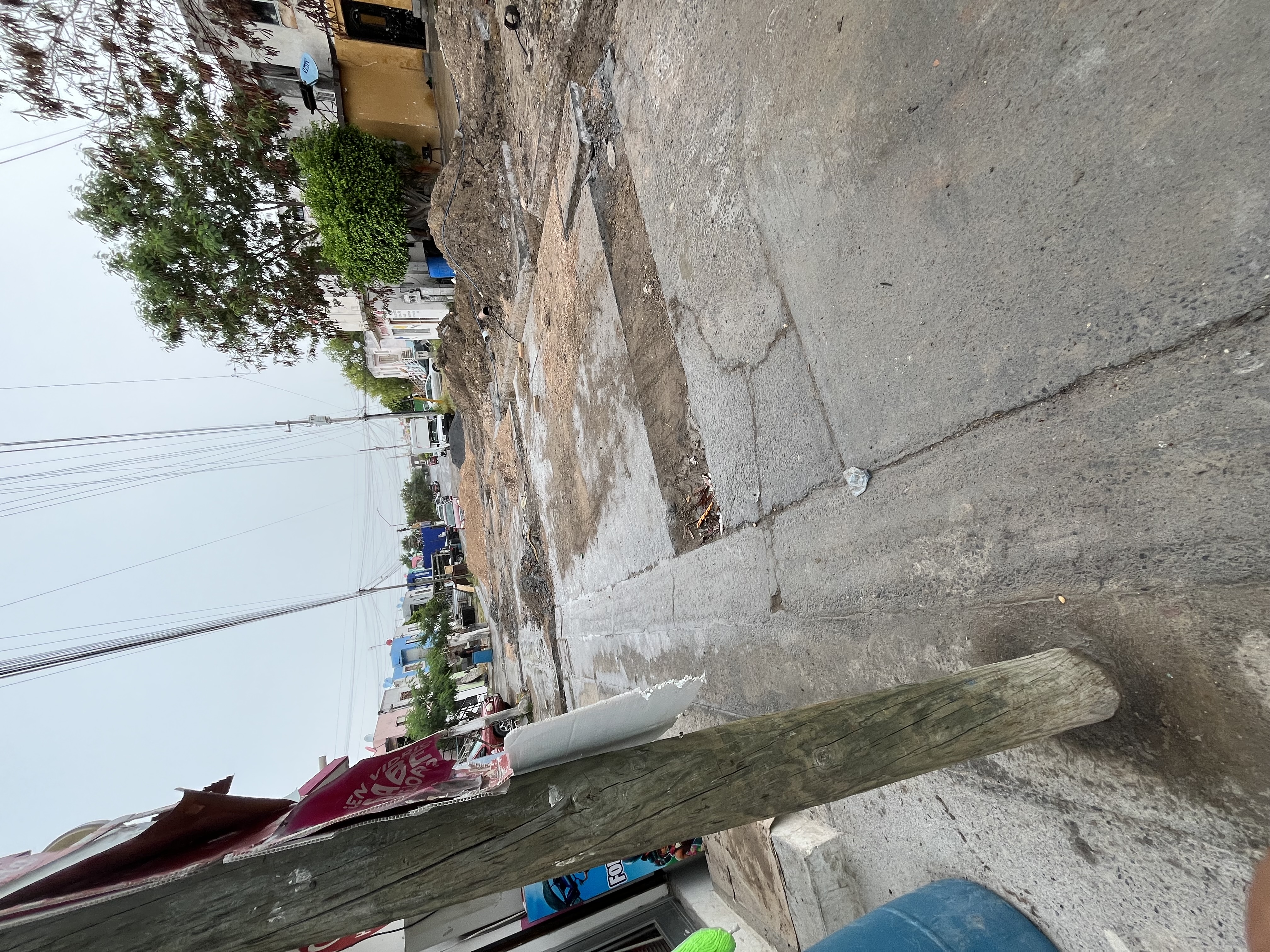 Imagen de la obra