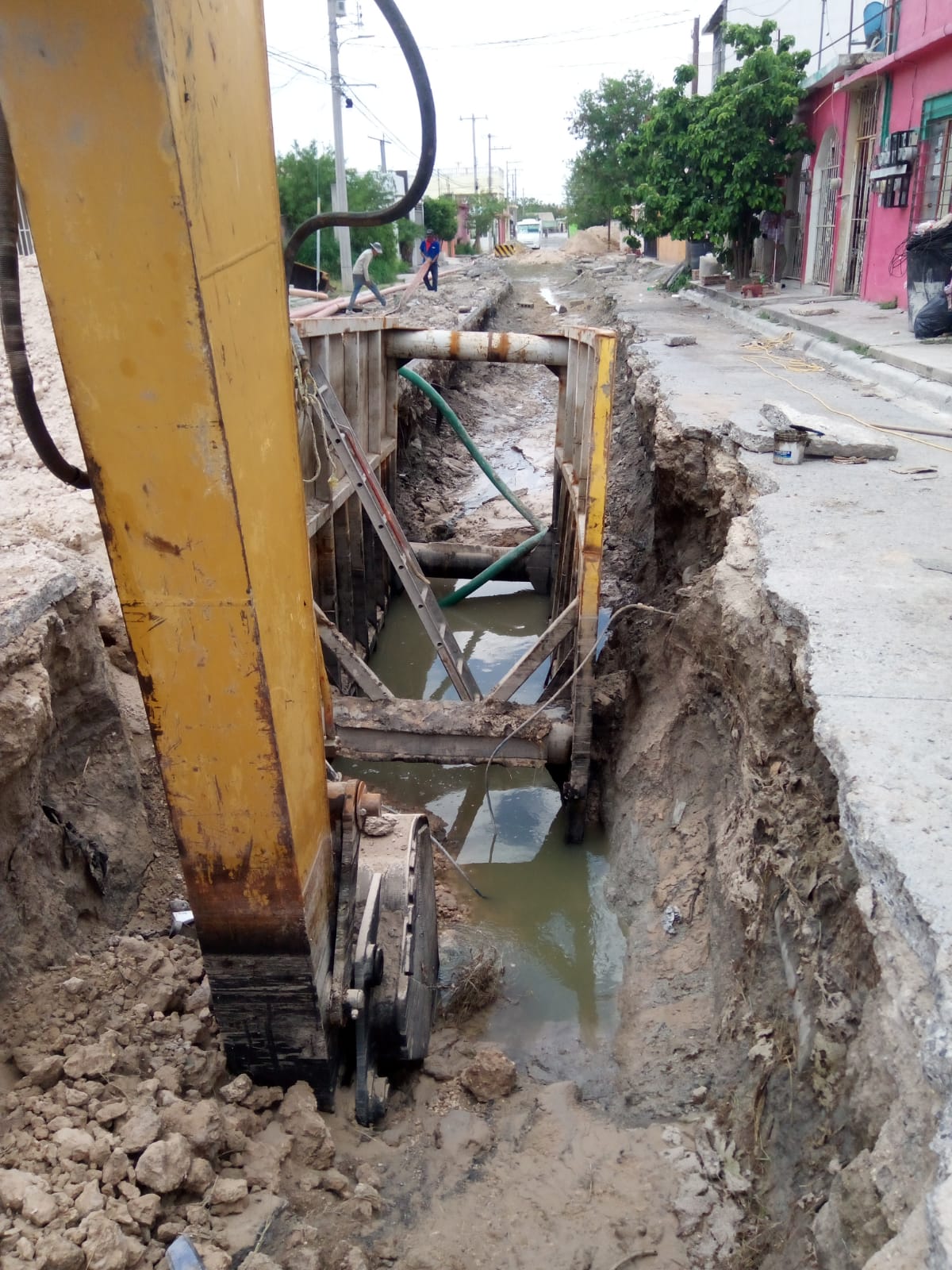 Imagen de la obra