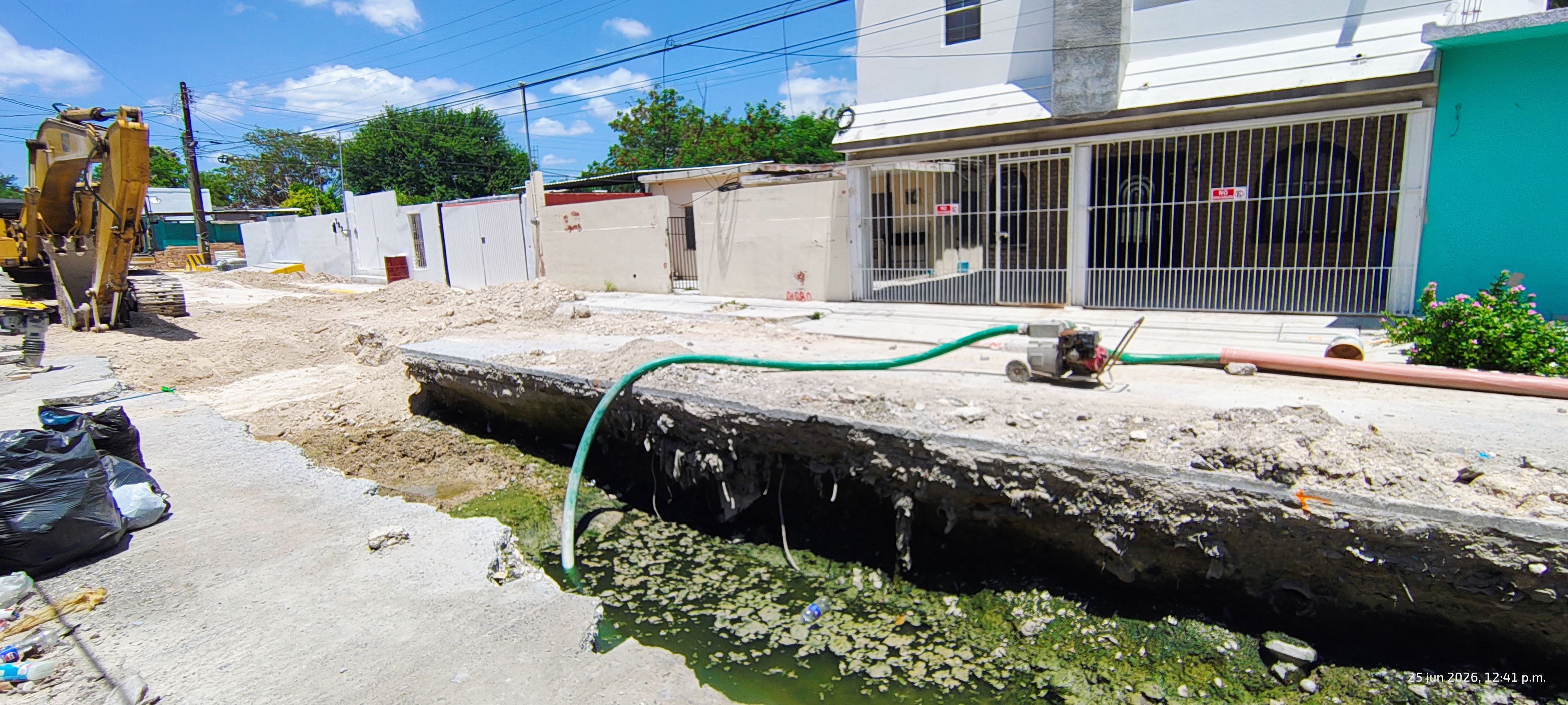 Imagen de la obra