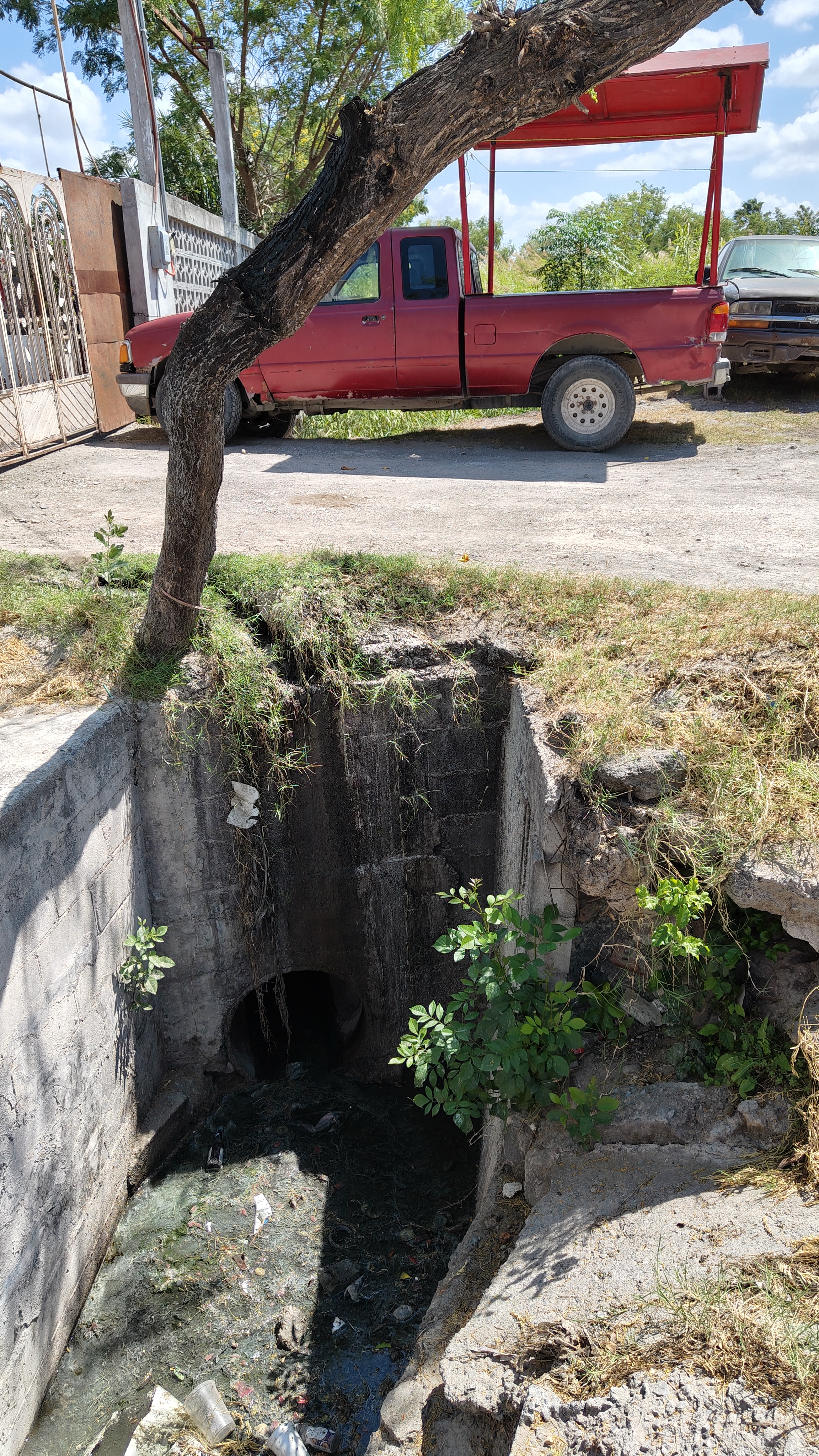 Imagen de la obra