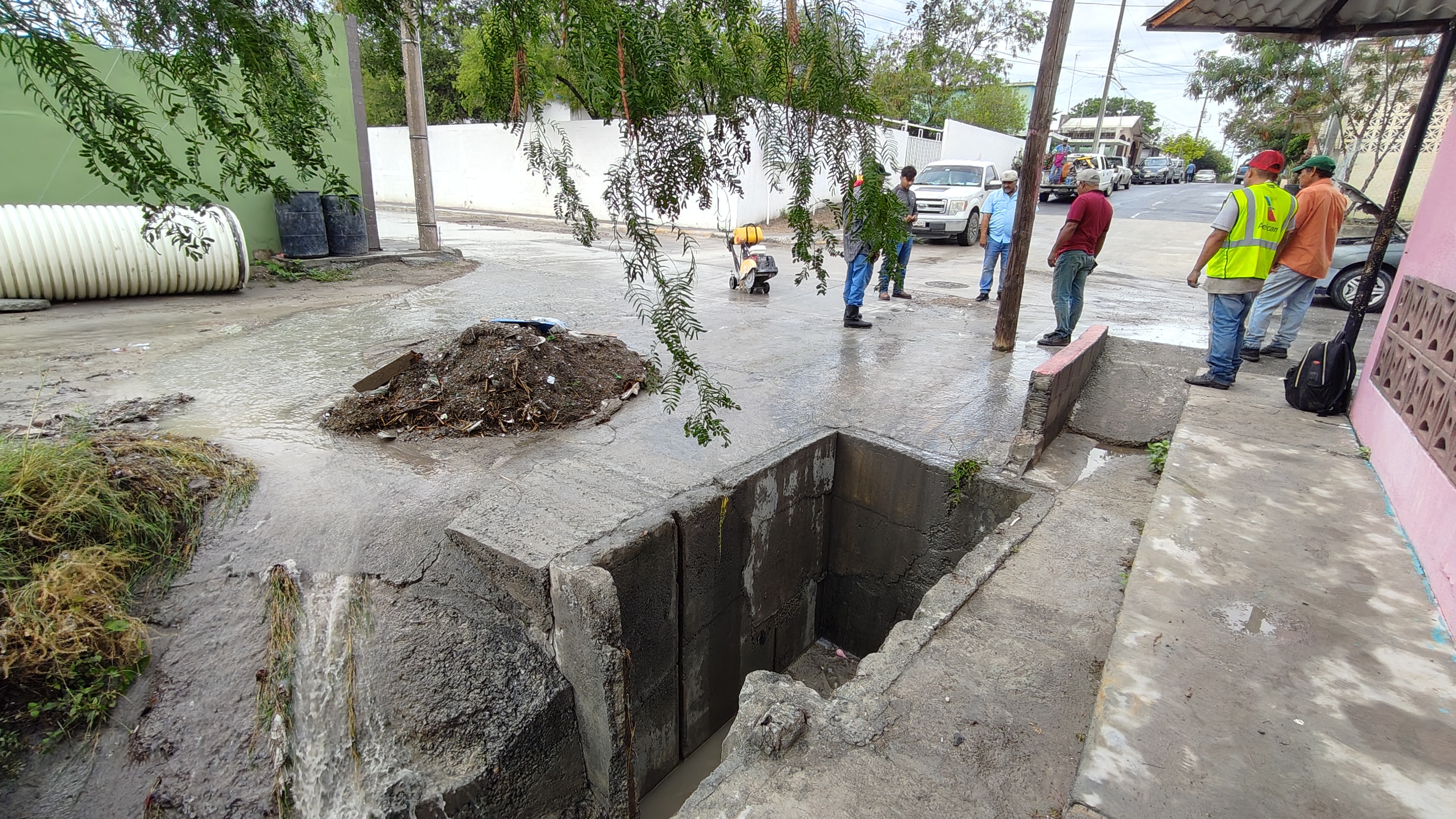 Imagen de la obra