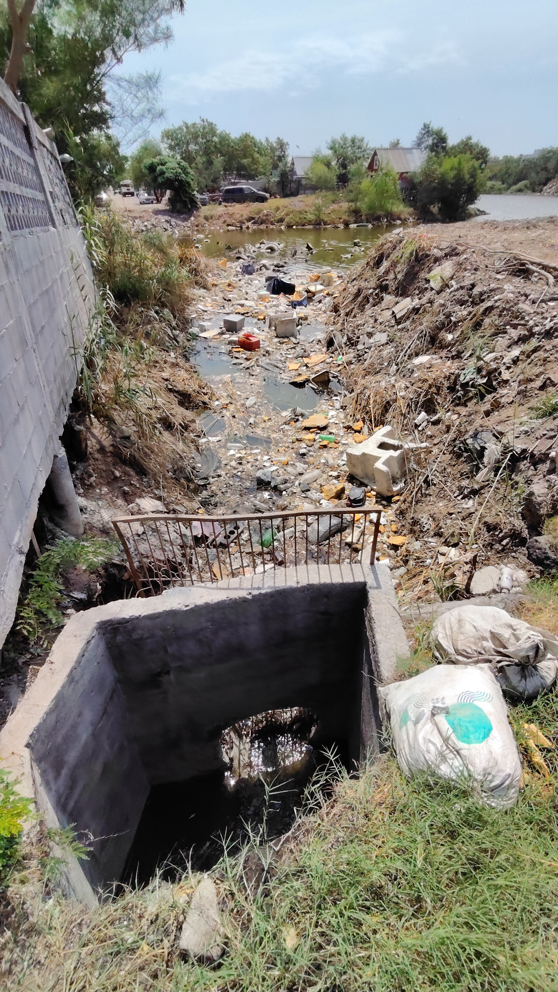 Imagen de la obra