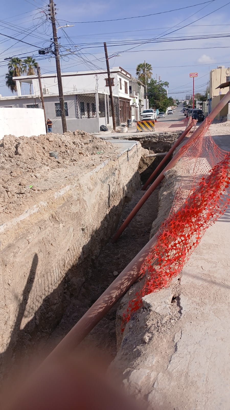 Imagen de la obra