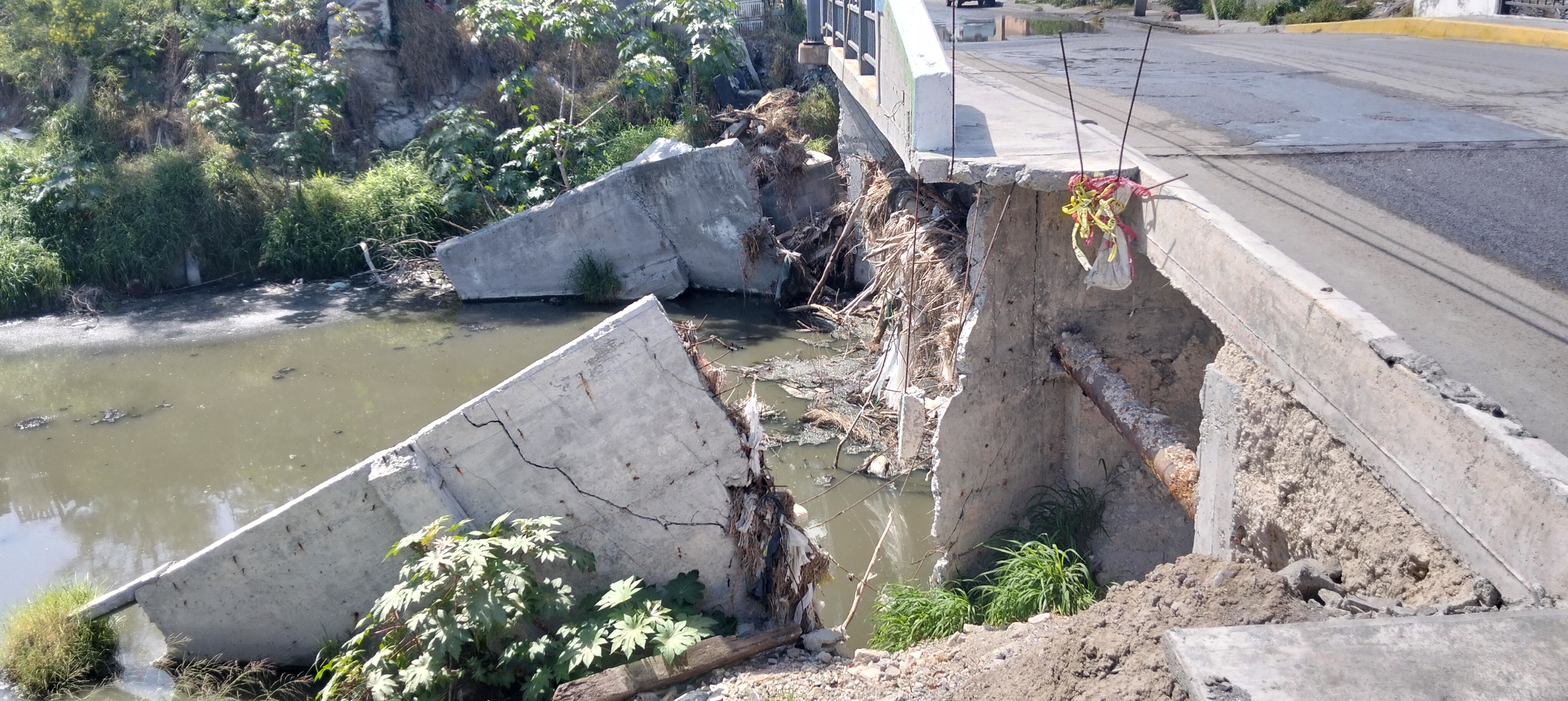 Imagen de la obra