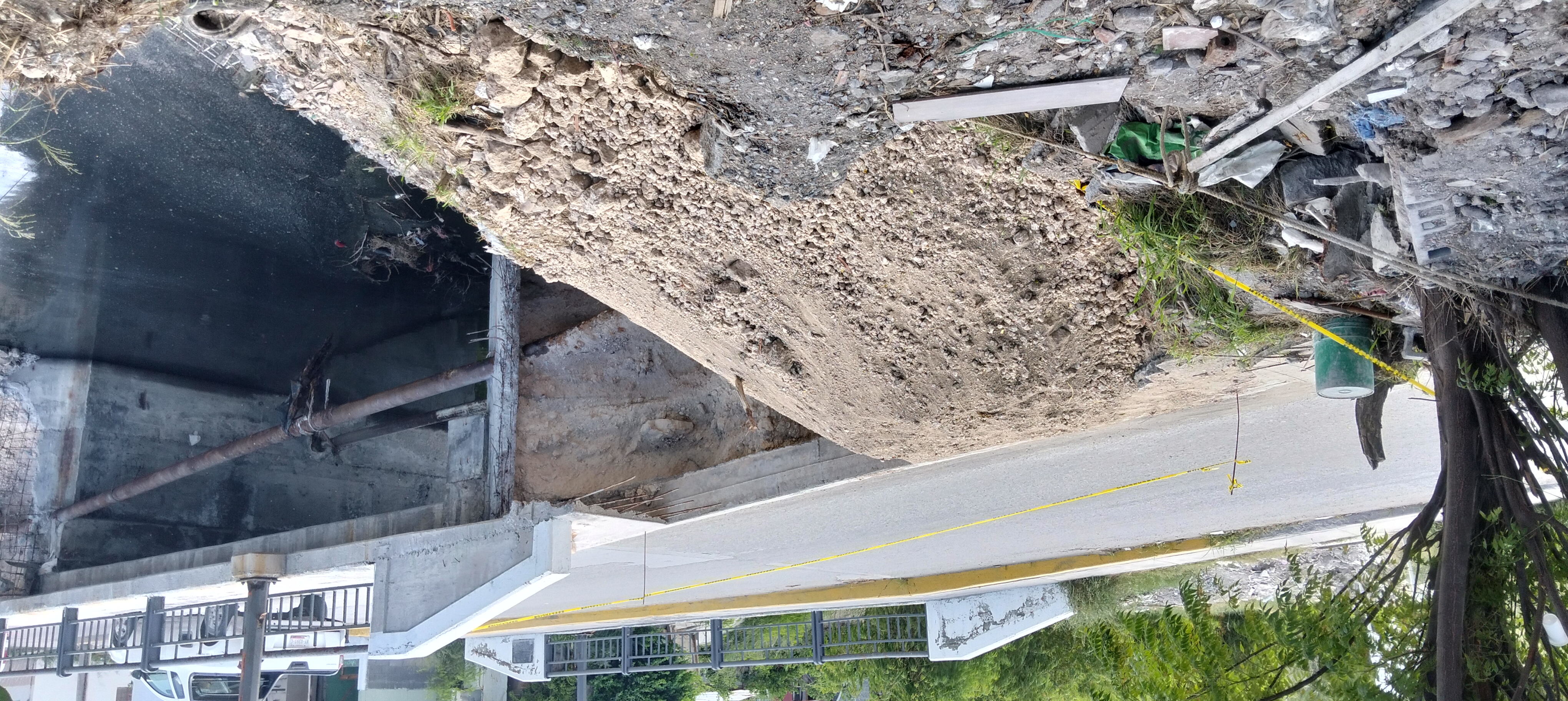 Imagen de la obra