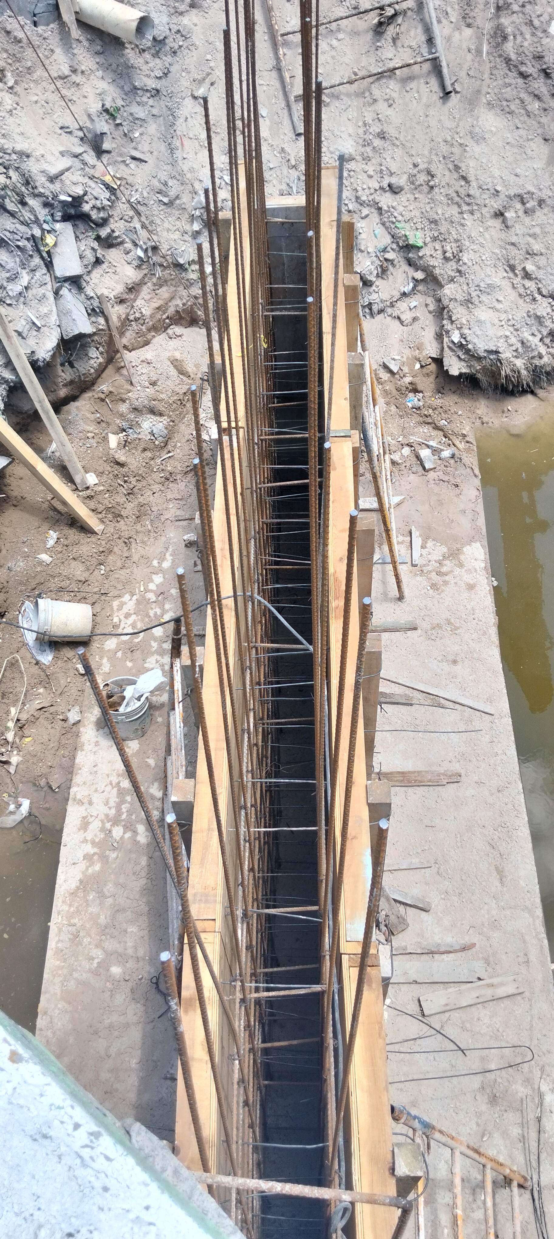 Imagen de la obra