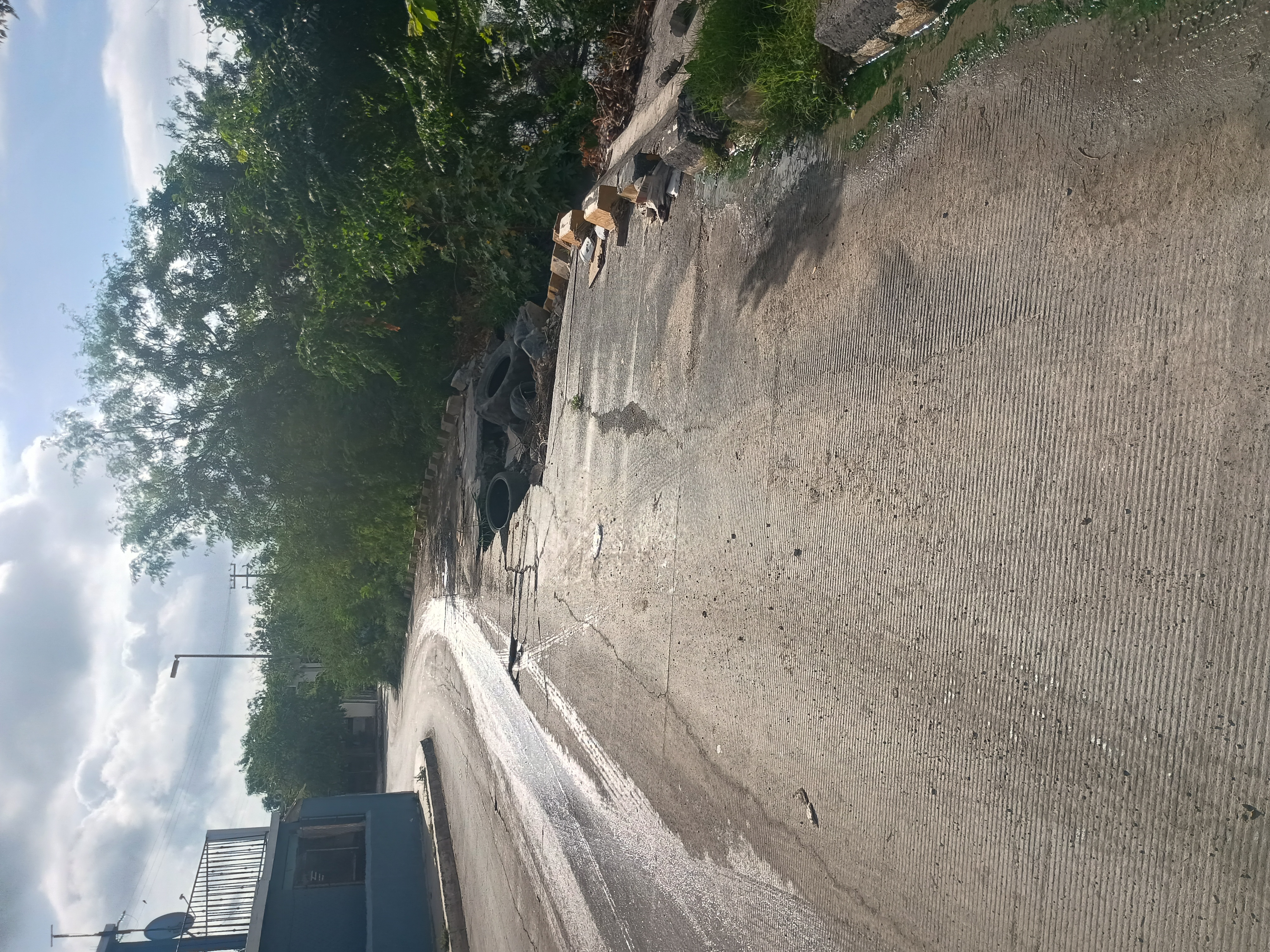 Imagen de la obra