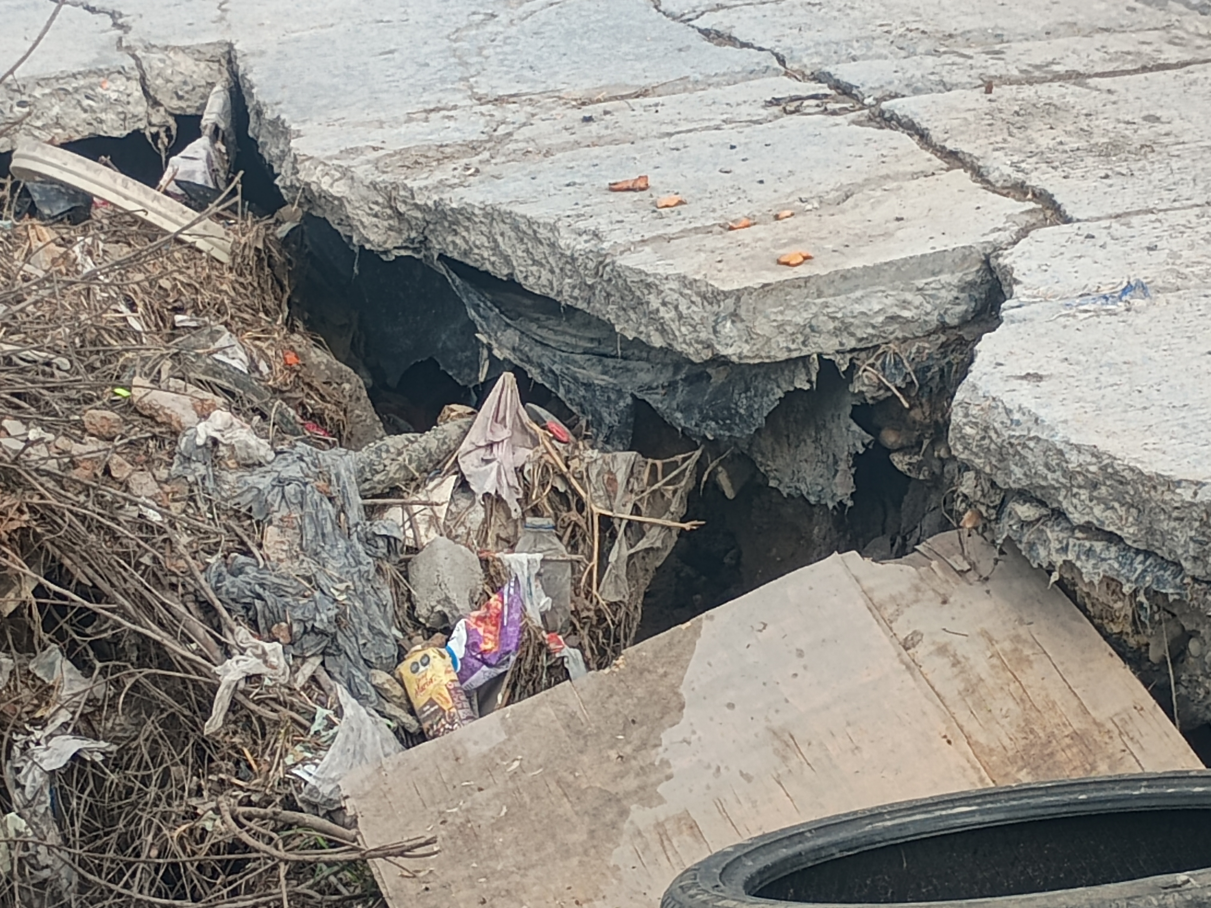 Imagen de la obra