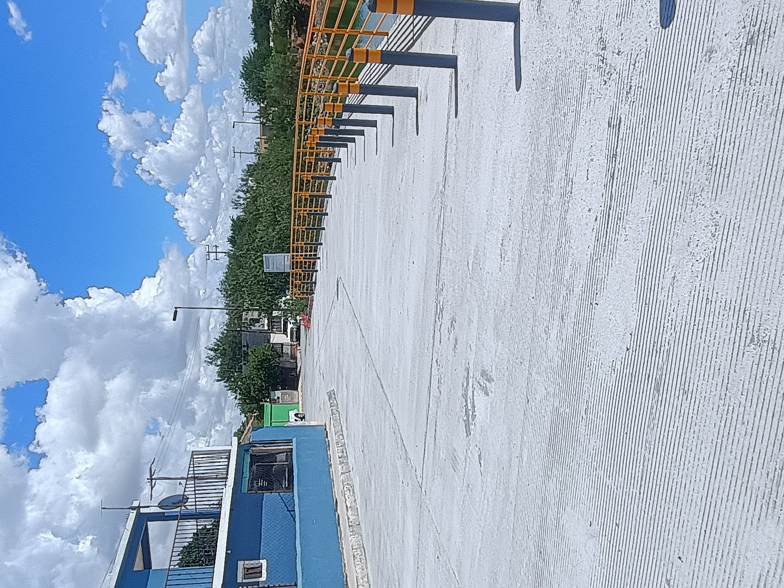 Imagen de la obra
