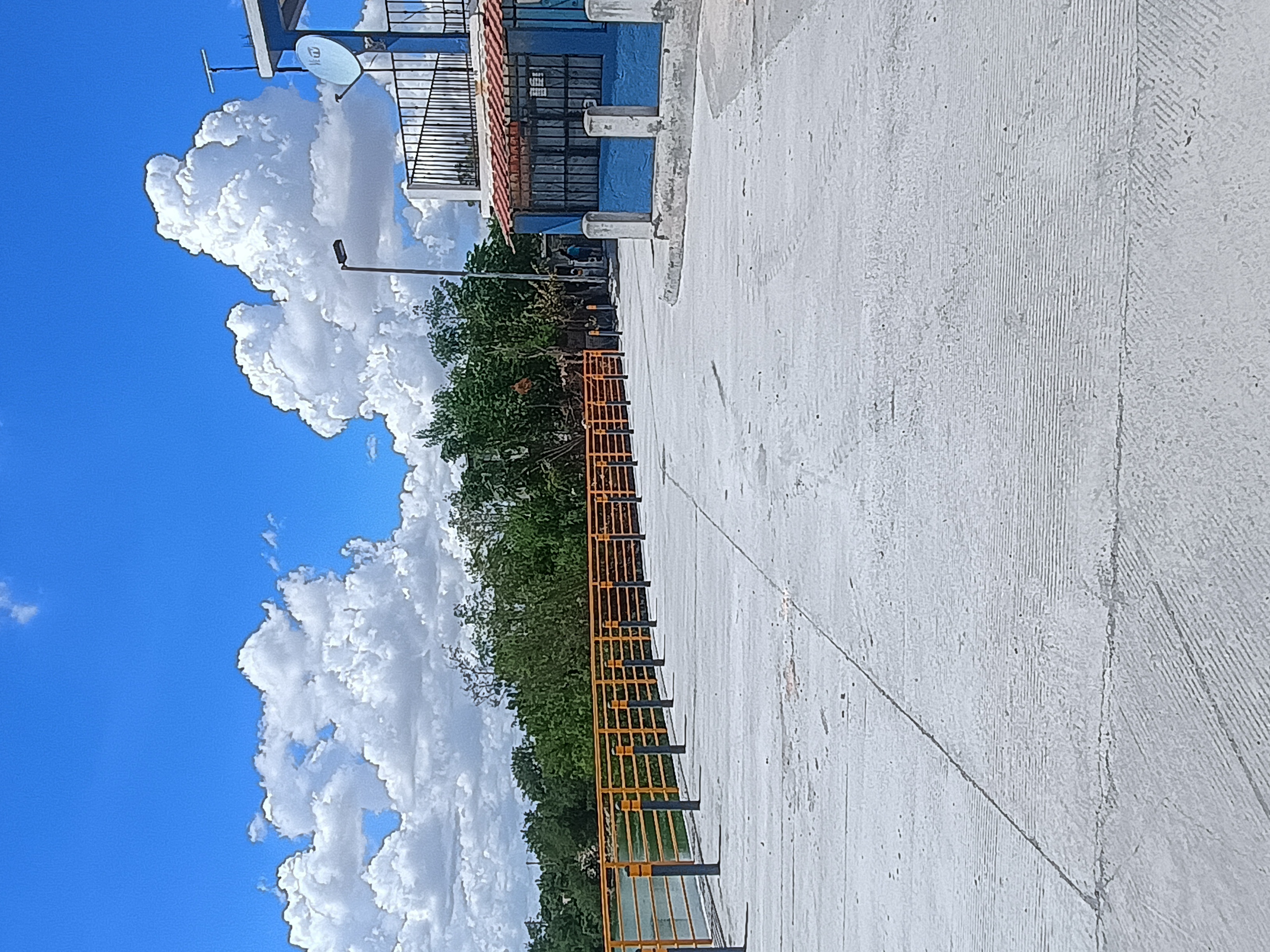 Imagen de la obra