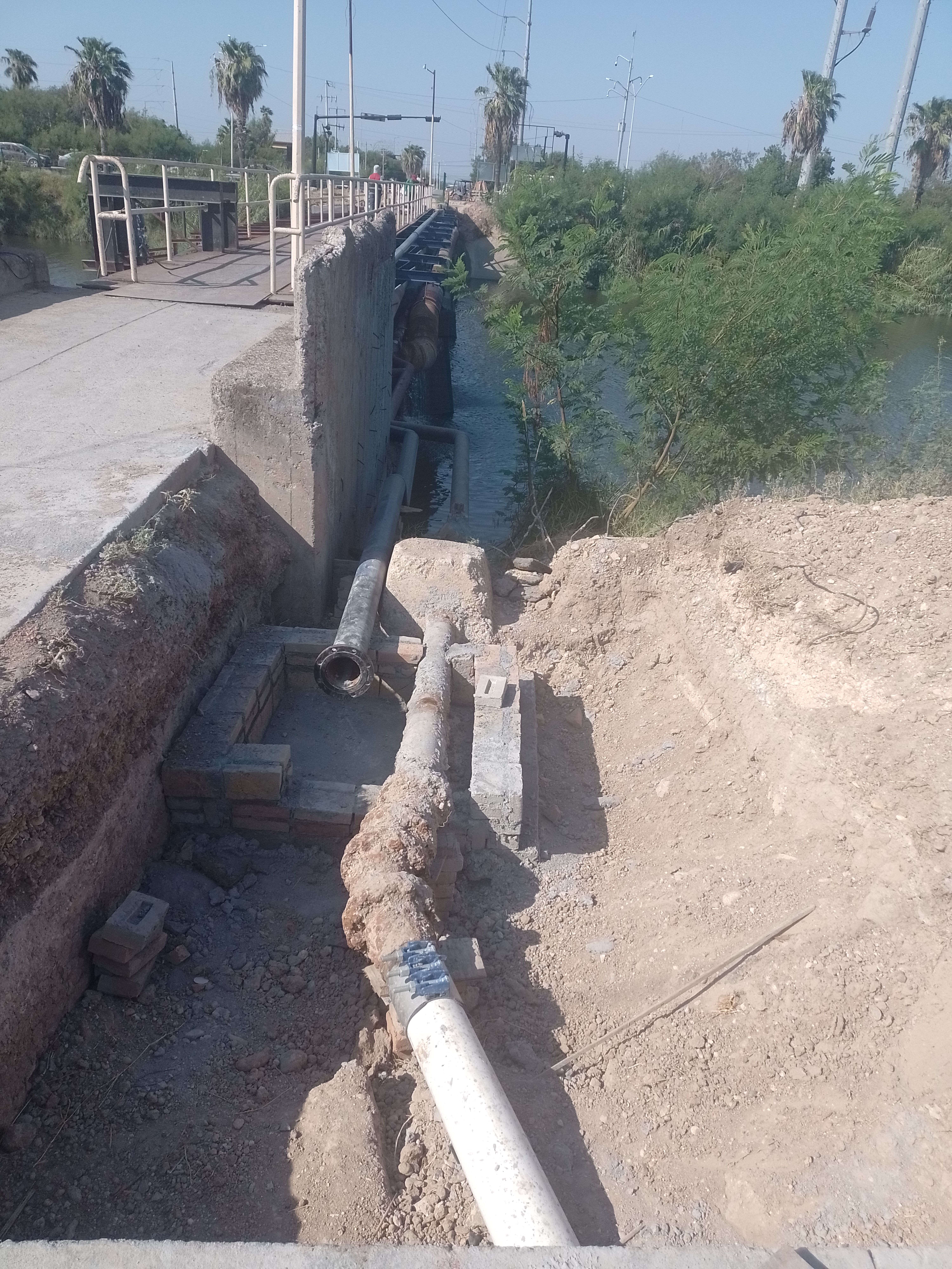 Imagen de la obra