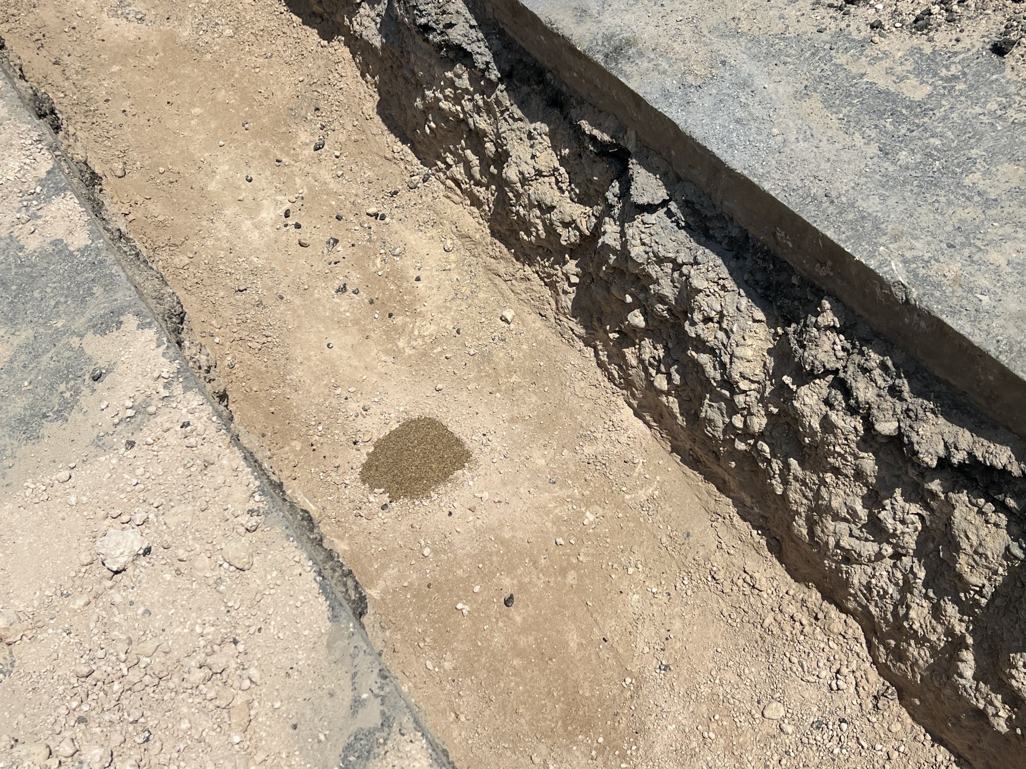 Imagen de la obra