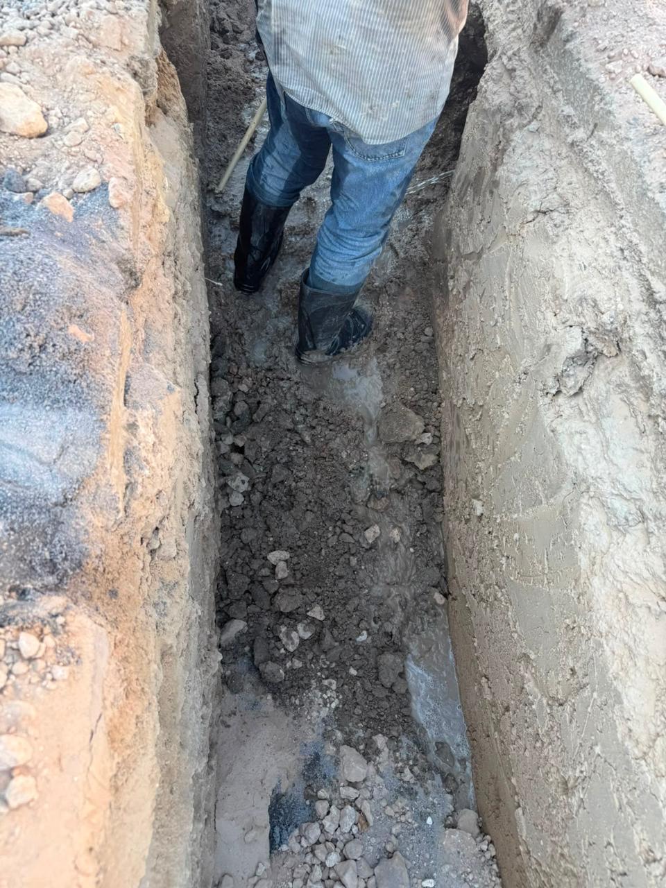 Imagen de la obra