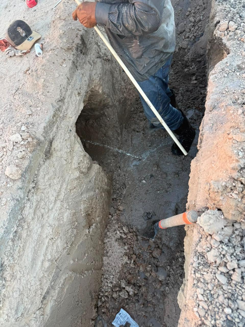 Imagen de la obra