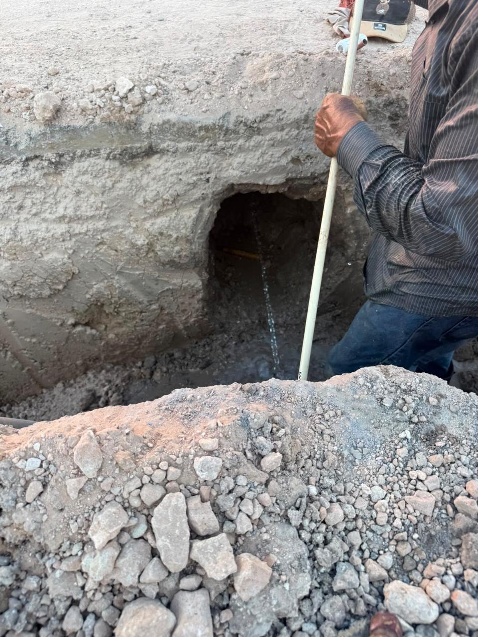 Imagen de la obra