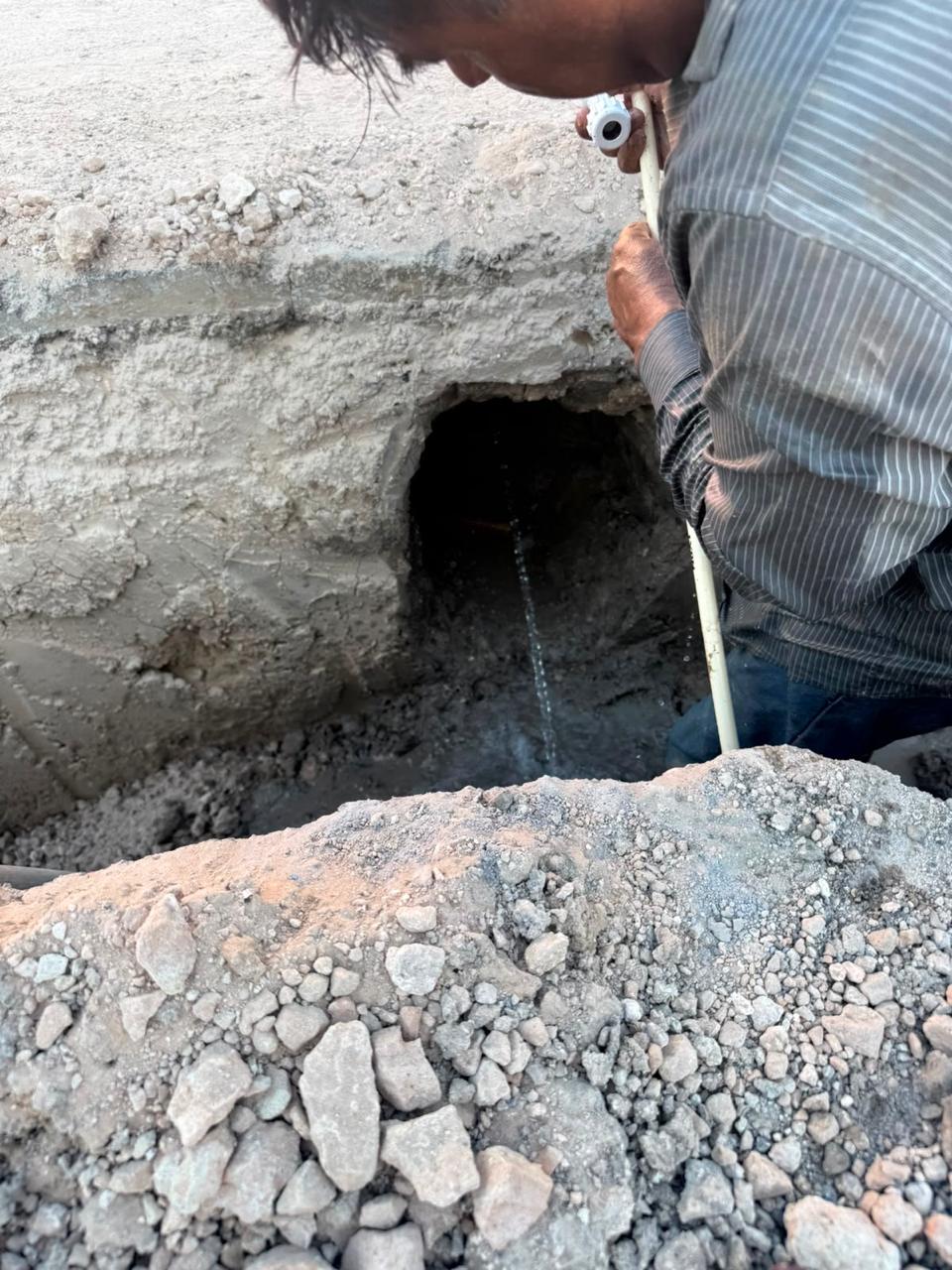 Imagen de la obra