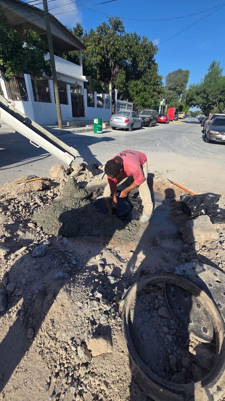Imagen de la obra